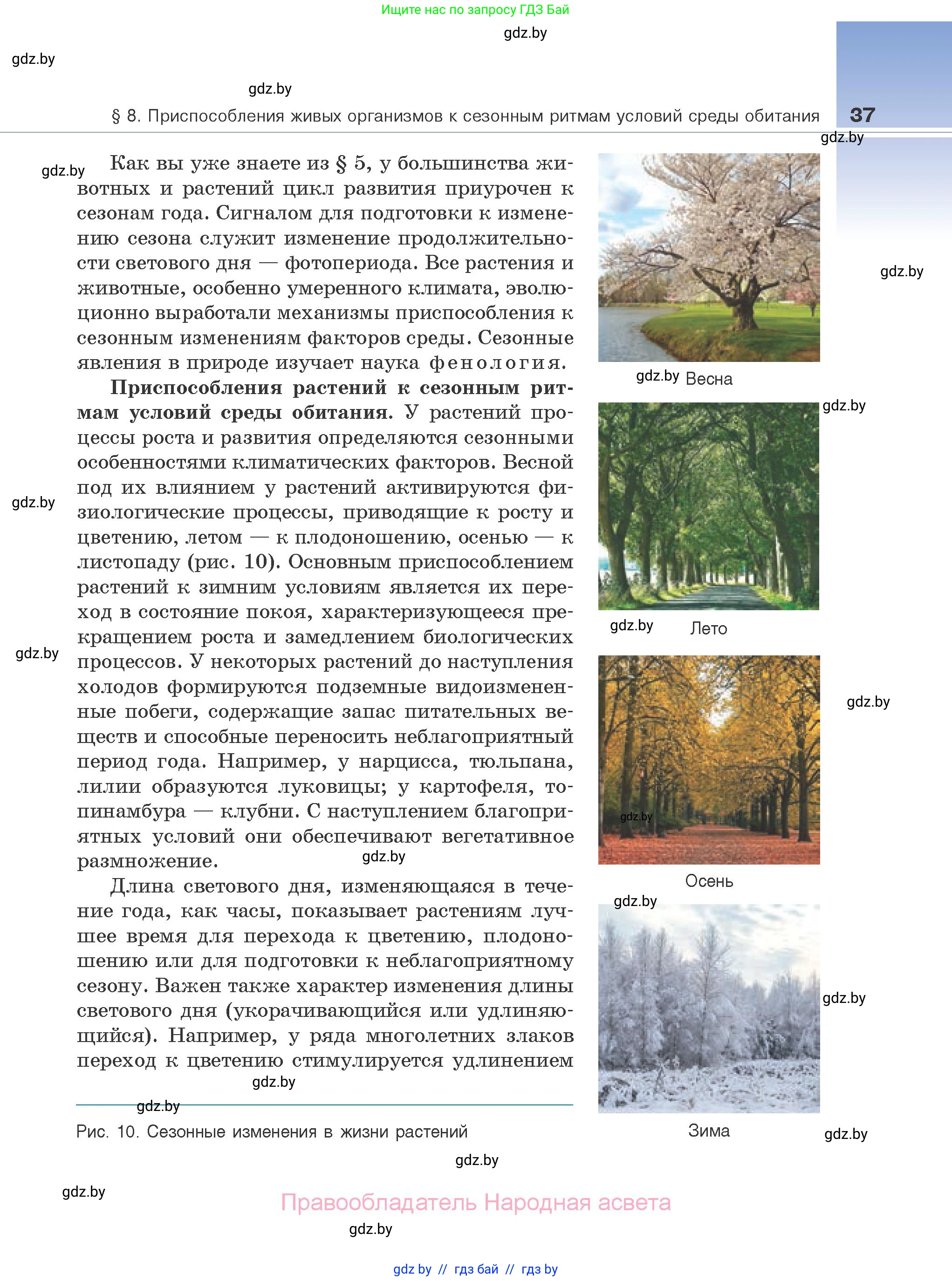 Биология, 10 класс Учебник, авторы: Маглыш Сабина Степановна, Кравченко Вячеслав Анатольевич, Довгун Татьяна Яновна, издательство Народная асвета, Минск, 2020, зелёного цвета, страница 37