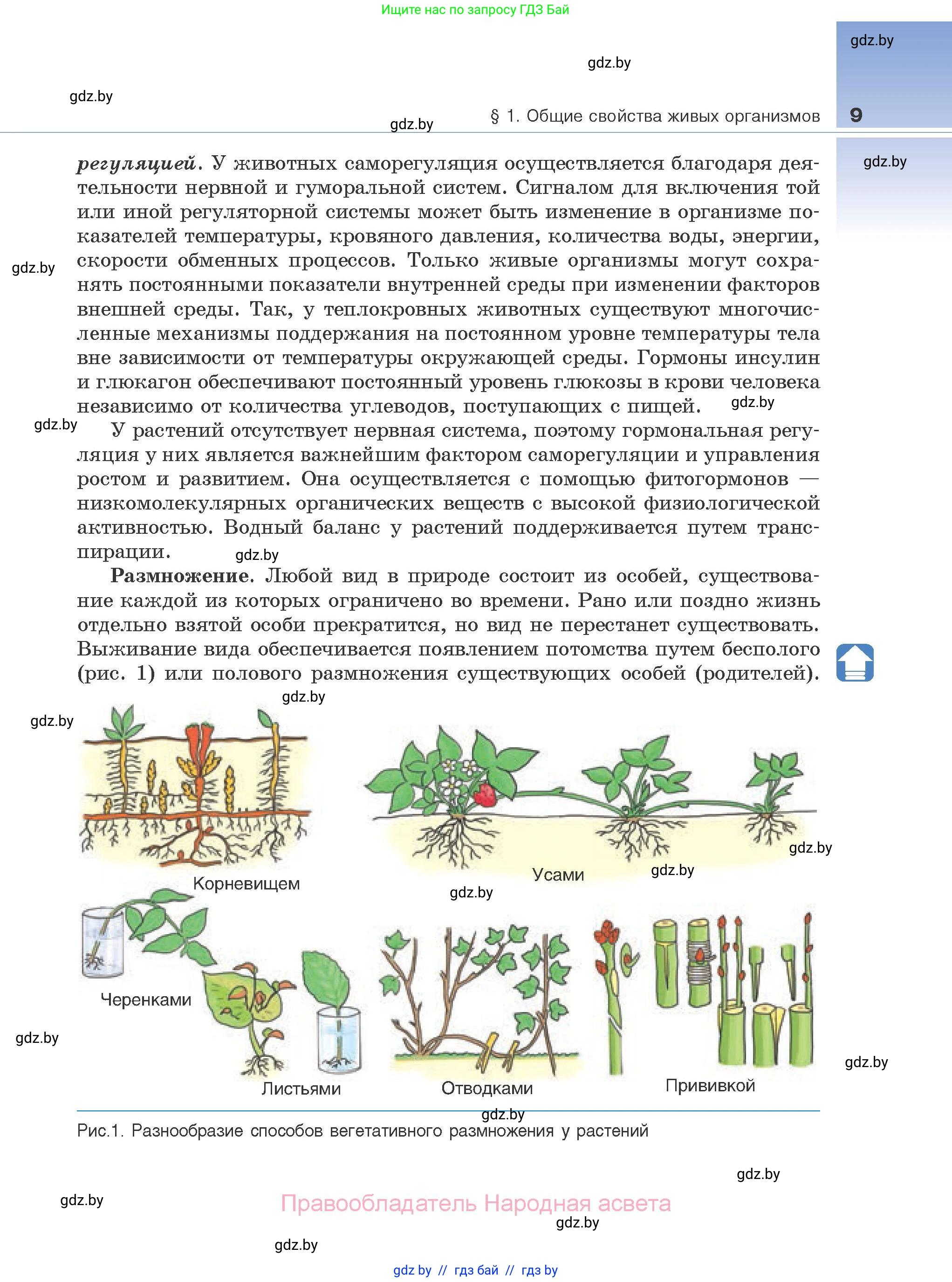 Биология, 10 класс Учебник, авторы: Маглыш Сабина Степановна, Кравченко Вячеслав Анатольевич, Довгун Татьяна Яновна, издательство Народная асвета, Минск, 2020, зелёного цвета, страница 9