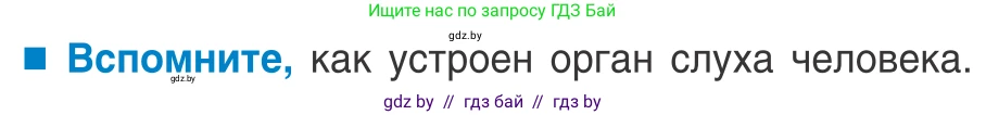 Биология, 10 класс Учебник, авторы: Маглыш Сабина Степановна, Кравченко Вячеслав Анатольевич, Довгун Татьяна Яновна, издательство Народная асвета, Минск, 2020, зелёного цвета, страница 97, Условие