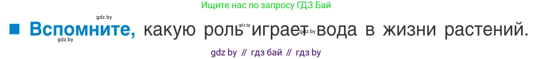 Биология, 10 класс Учебник, авторы: Маглыш Сабина Степановна, Кравченко Вячеслав Анатольевич, Довгун Татьяна Яновна, издательство Народная асвета, Минск, 2020, зелёного цвета, страница 32, Условие