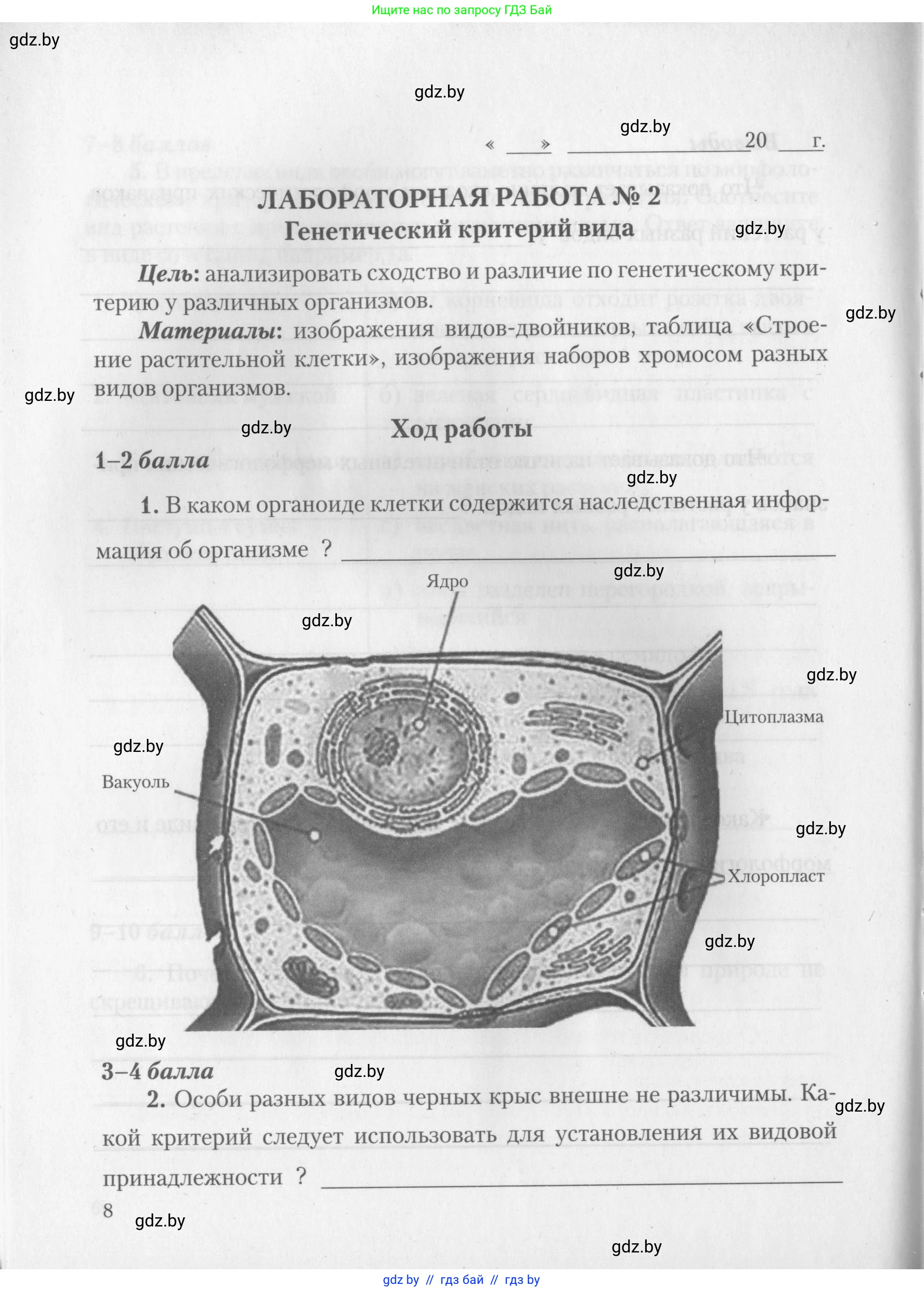 Биология, 10 класс тетрадь для лабораторных, практических работ и экскурсий, автор: Новик Ирина Михайловна, издательство Сэр-Вит, Минск, 2020, салатового цвета, страница 8