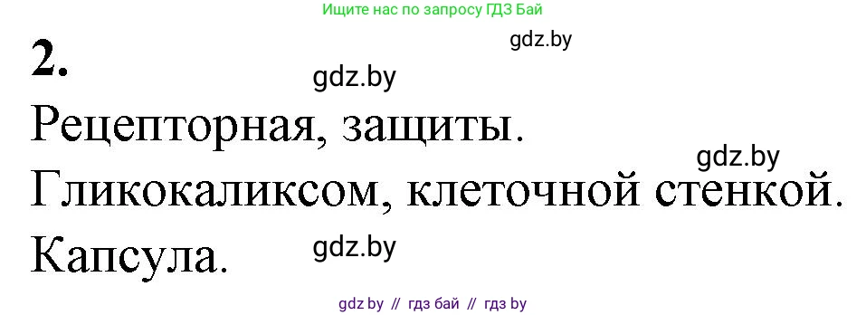 Биология, 11 класс рабочая тетрадь, авторы: Дашков Максим Леонидович, Головач Алексей Михайлович, издательство Аверсэв, Минск, 2021, жёлтого цвета, страница 26, номер 2, Решение