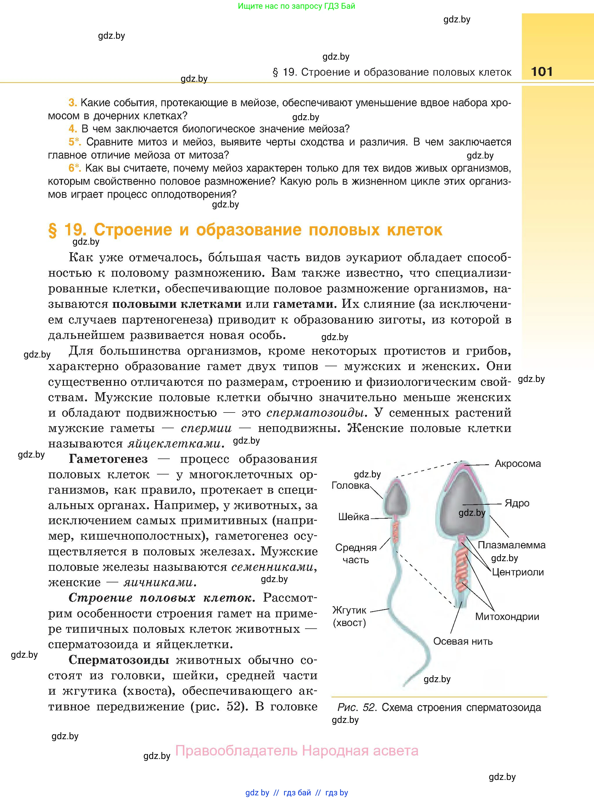 Биология, 11 класс Учебник, авторы: Дашков Максим Леонидович, Песнякевич Александр Георгиевич, Головач Алексей Михайлович, издательство Народная асвета, Минск, 2021, голубого цвета, страница 101