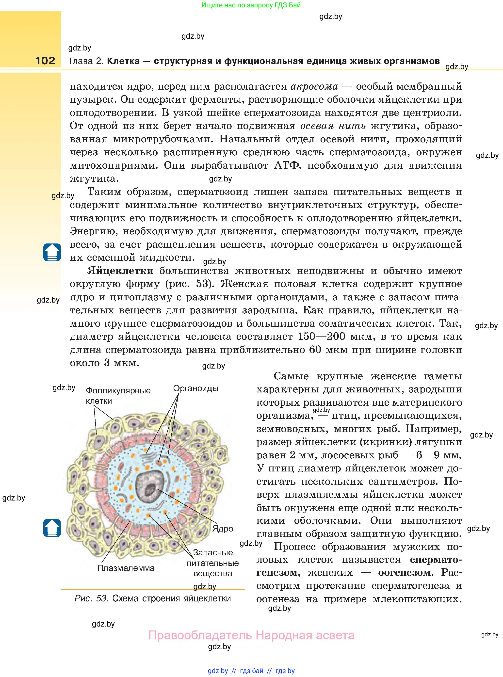Биология, 11 класс Учебник, авторы: Дашков Максим Леонидович, Песнякевич Александр Георгиевич, Головач Алексей Михайлович, издательство Народная асвета, Минск, 2021, голубого цвета, страница 102