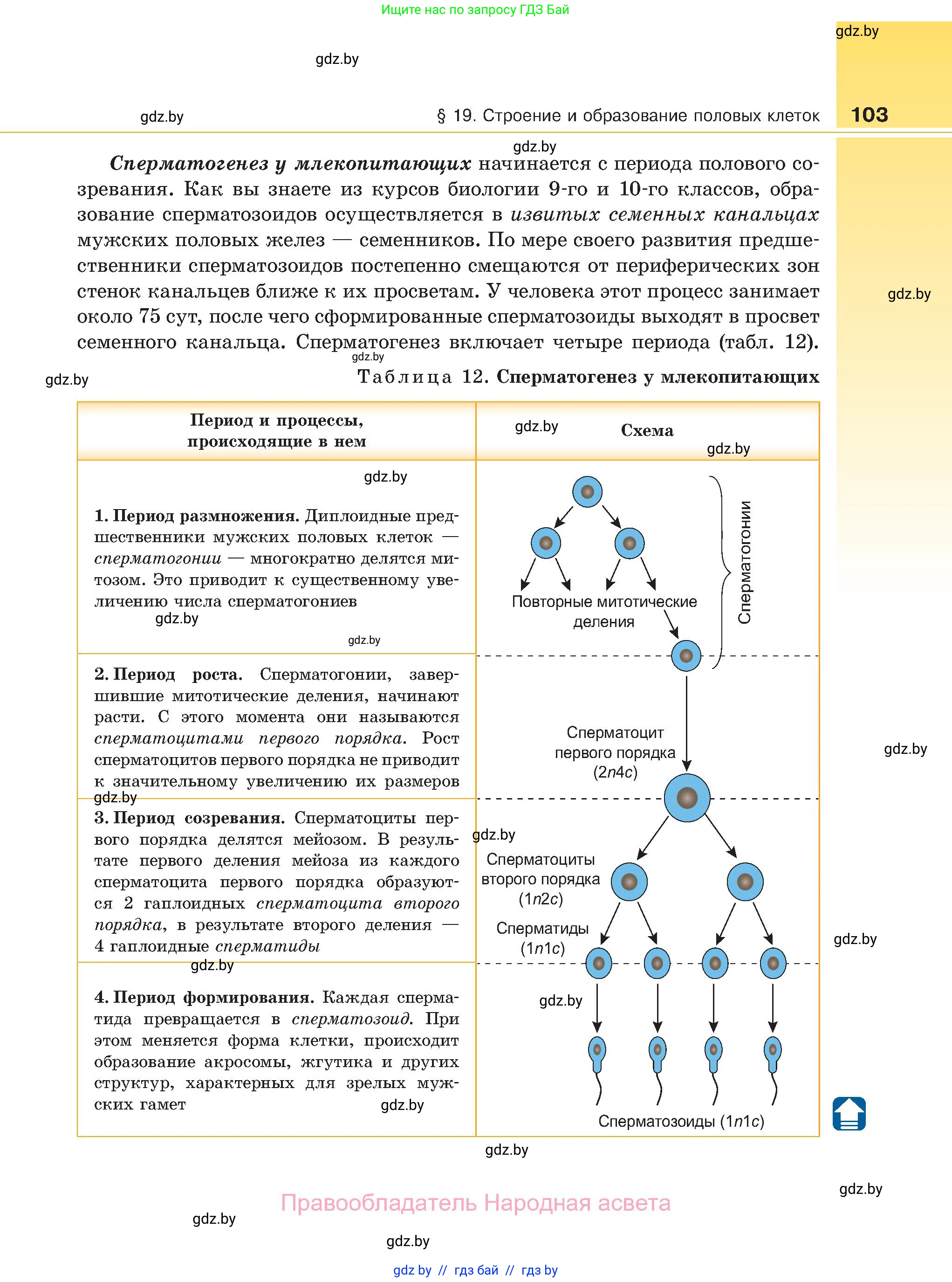 Биология, 11 класс Учебник, авторы: Дашков Максим Леонидович, Песнякевич Александр Георгиевич, Головач Алексей Михайлович, издательство Народная асвета, Минск, 2021, голубого цвета, страница 103