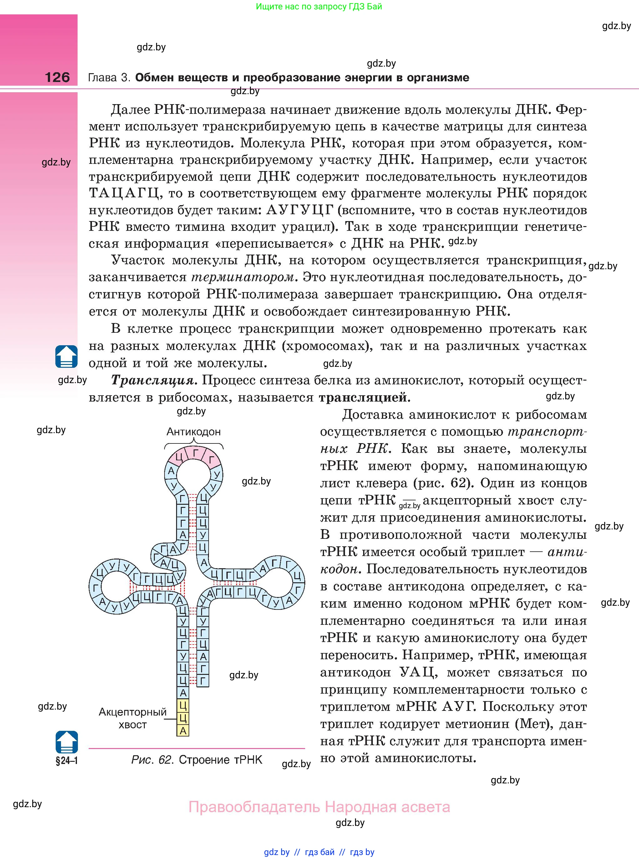 Биология, 11 класс Учебник, авторы: Дашков Максим Леонидович, Песнякевич Александр Георгиевич, Головач Алексей Михайлович, издательство Народная асвета, Минск, 2021, голубого цвета, страница 126
