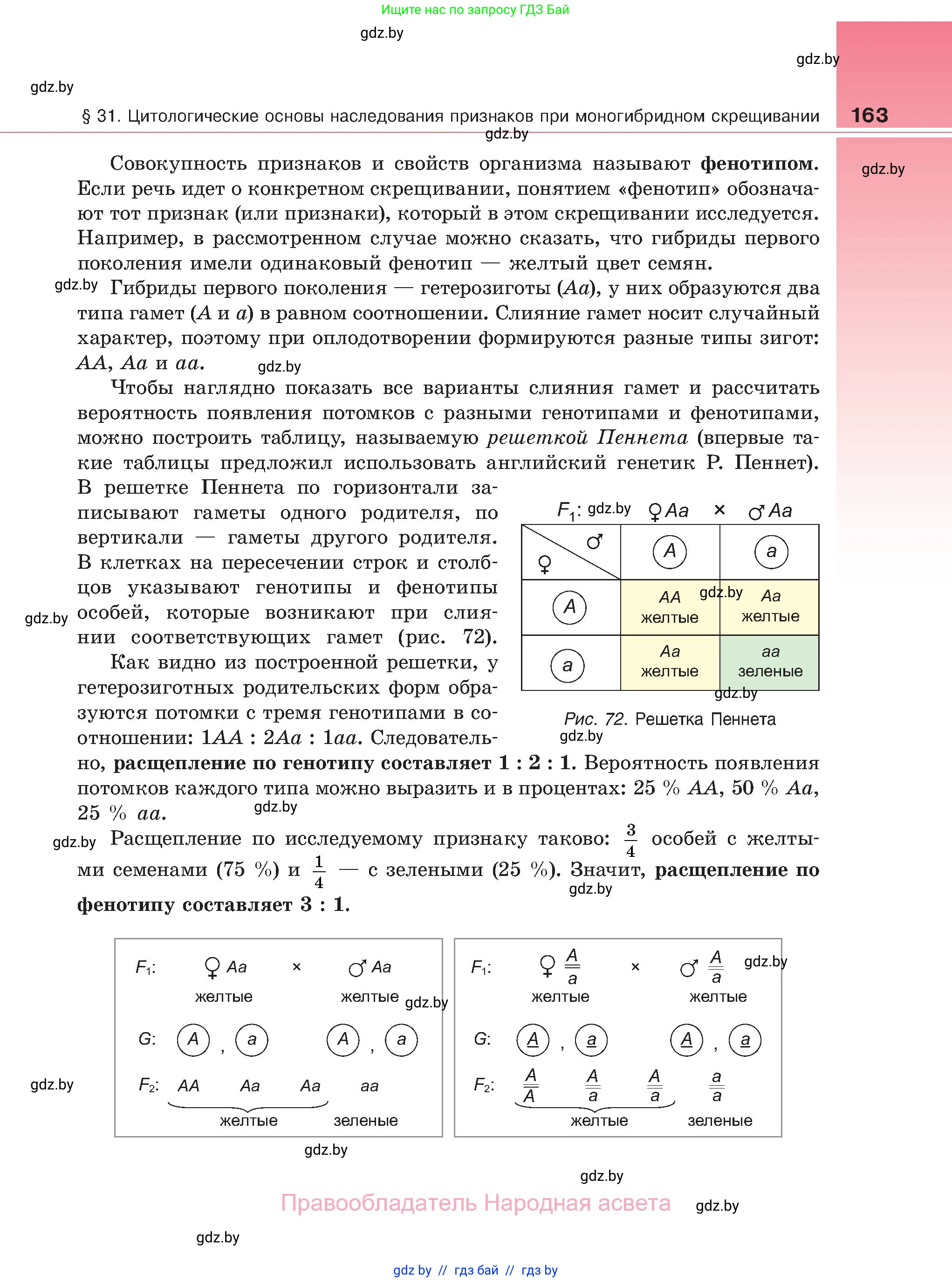 Биология, 11 класс Учебник, авторы: Дашков Максим Леонидович, Песнякевич Александр Георгиевич, Головач Алексей Михайлович, издательство Народная асвета, Минск, 2021, голубого цвета, страница 163