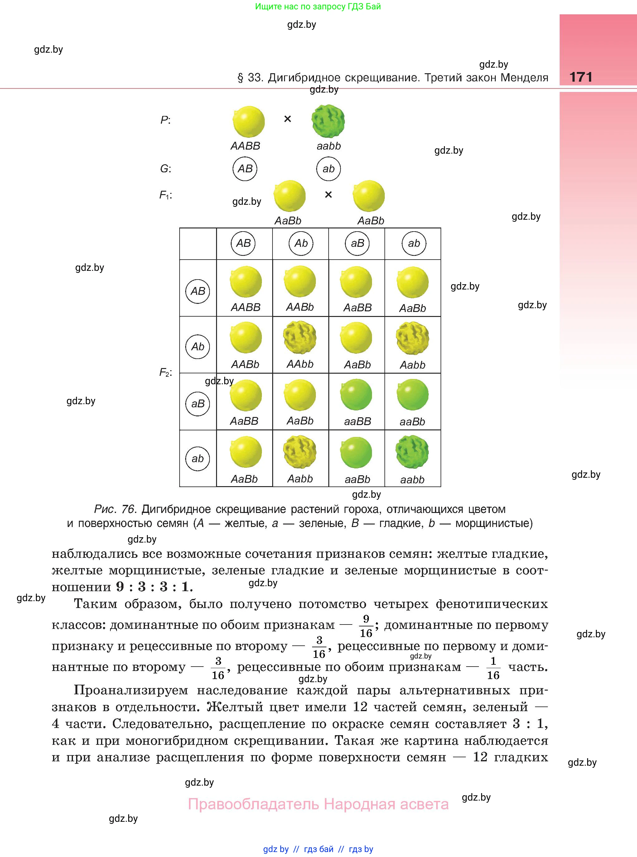 Биология, 11 класс Учебник, авторы: Дашков Максим Леонидович, Песнякевич Александр Георгиевич, Головач Алексей Михайлович, издательство Народная асвета, Минск, 2021, голубого цвета, страница 171