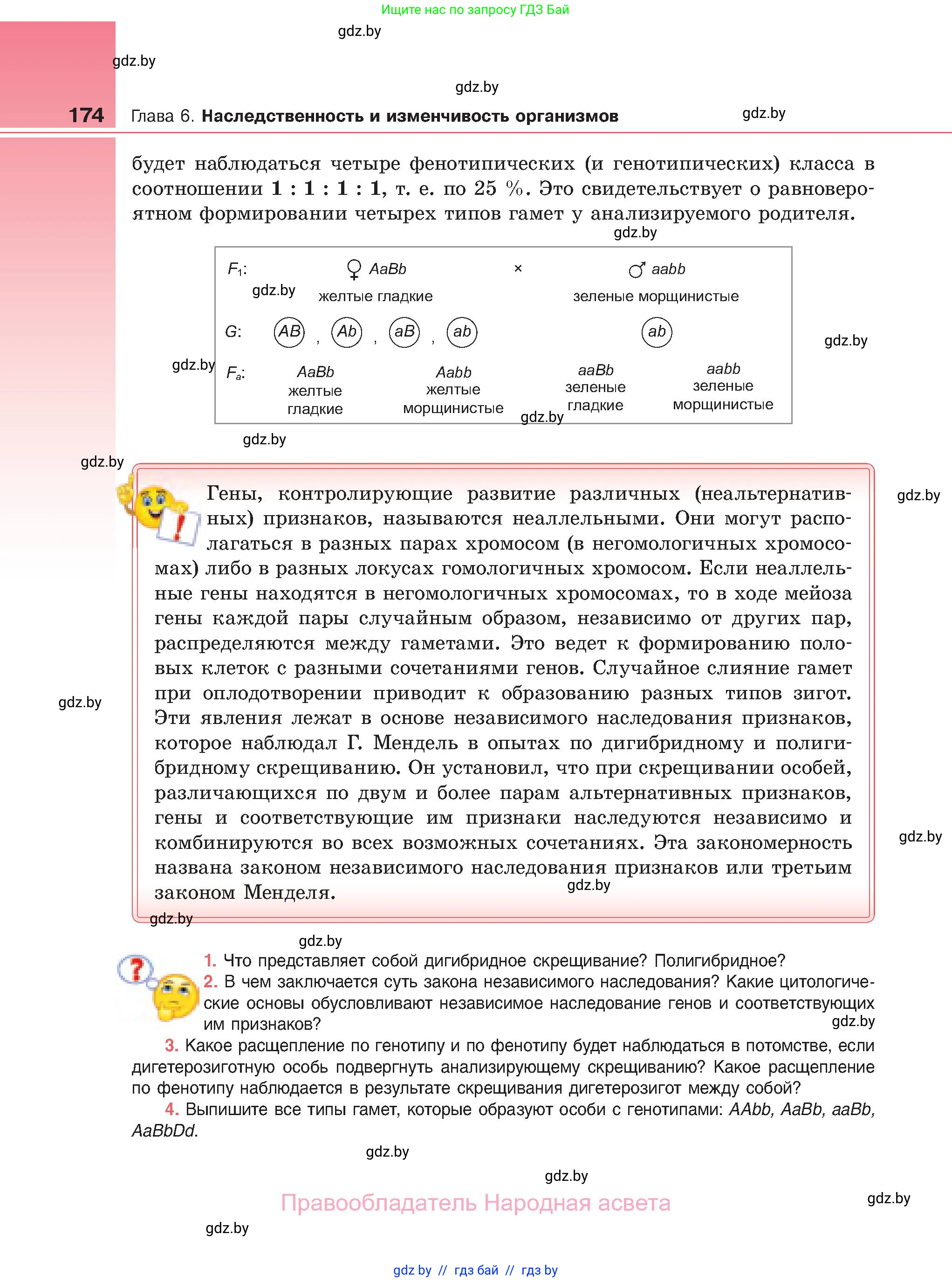 Биология, 11 класс Учебник, авторы: Дашков Максим Леонидович, Песнякевич Александр Георгиевич, Головач Алексей Михайлович, издательство Народная асвета, Минск, 2021, голубого цвета, страница 174