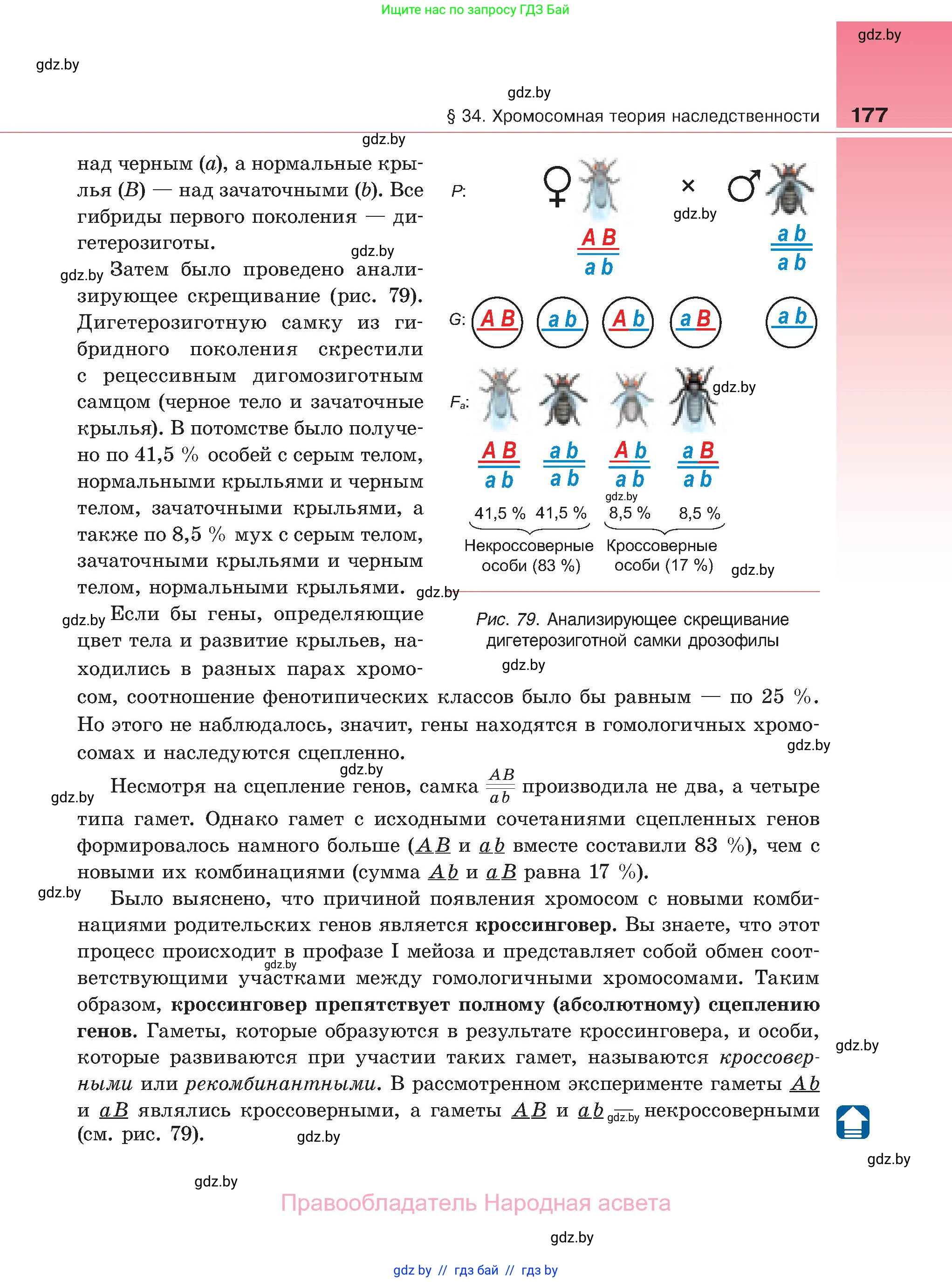 Биология, 11 класс Учебник, авторы: Дашков Максим Леонидович, Песнякевич Александр Георгиевич, Головач Алексей Михайлович, издательство Народная асвета, Минск, 2021, голубого цвета, страница 177