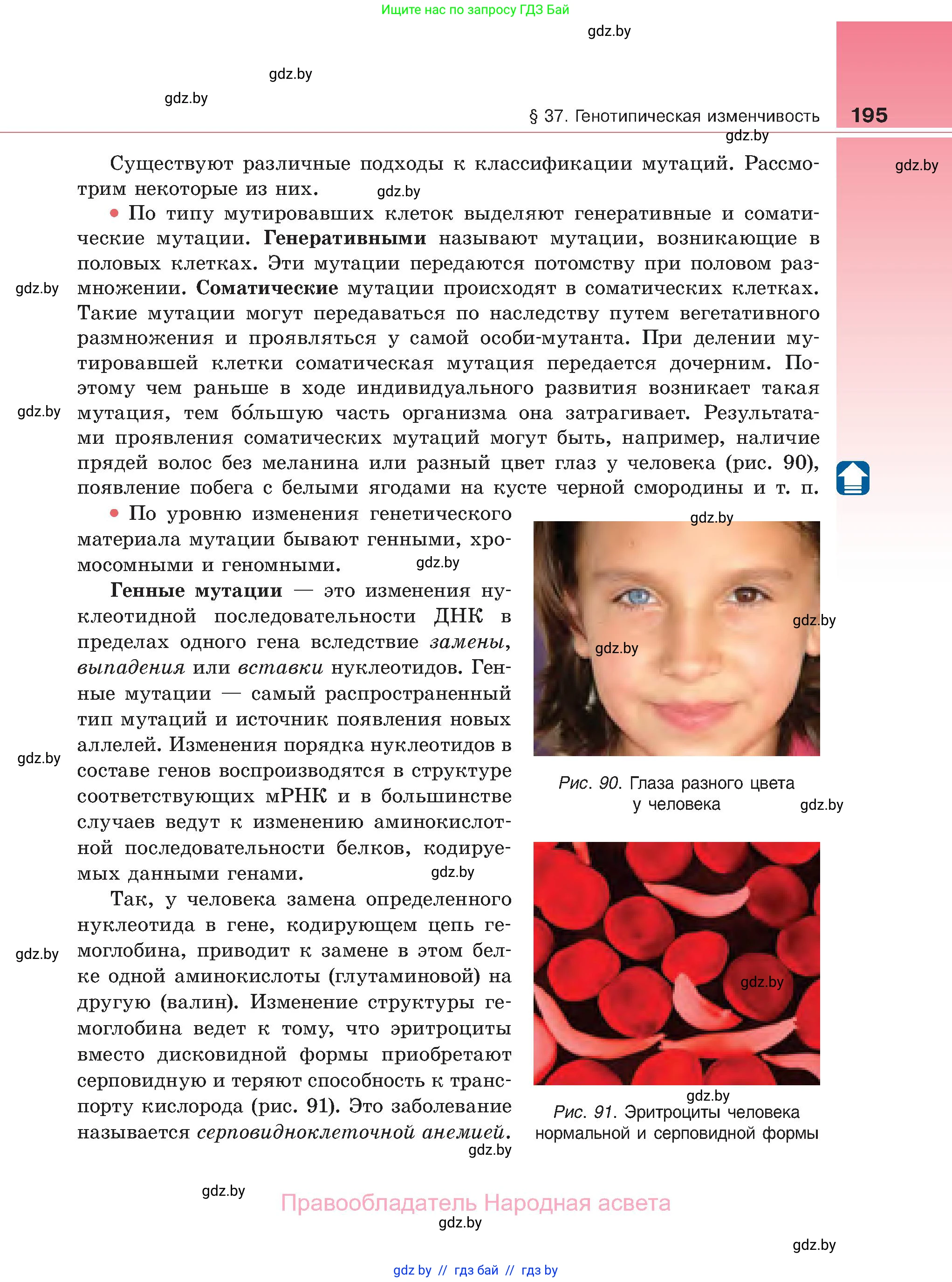 Биология, 11 класс Учебник, авторы: Дашков Максим Леонидович, Песнякевич Александр Георгиевич, Головач Алексей Михайлович, издательство Народная асвета, Минск, 2021, голубого цвета, страница 195