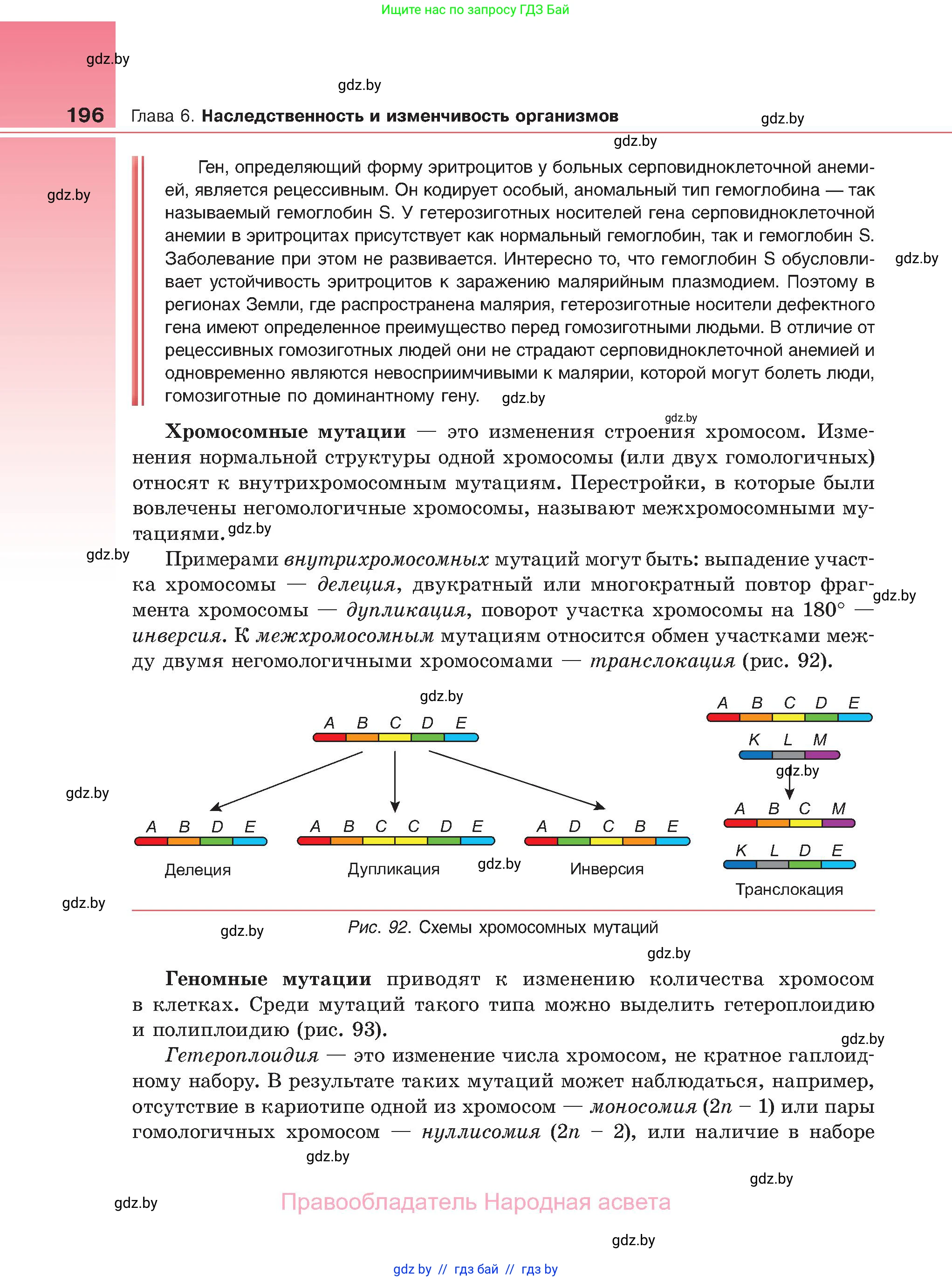 Биология, 11 класс Учебник, авторы: Дашков Максим Леонидович, Песнякевич Александр Георгиевич, Головач Алексей Михайлович, издательство Народная асвета, Минск, 2021, голубого цвета, страница 196