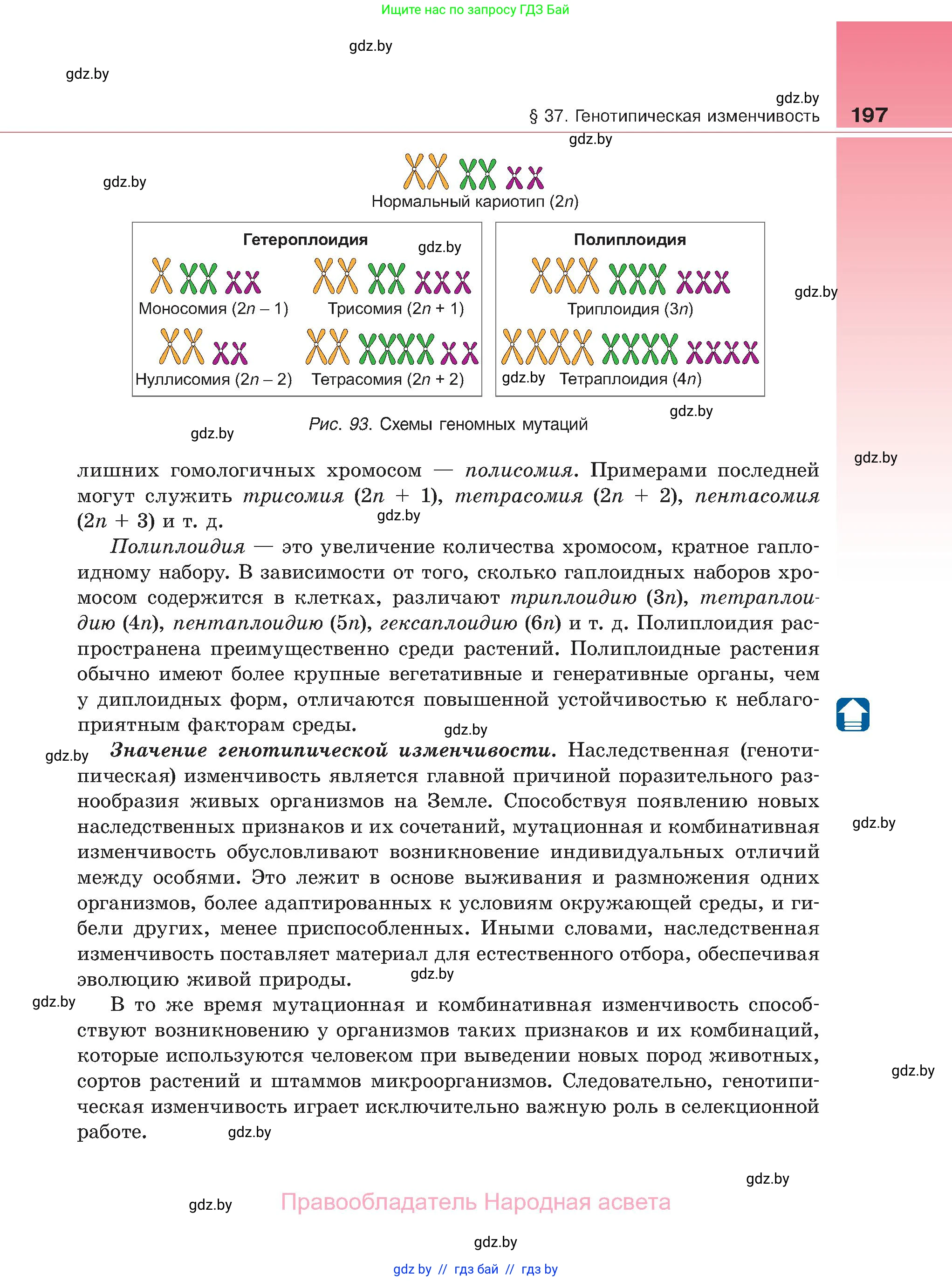 Биология, 11 класс Учебник, авторы: Дашков Максим Леонидович, Песнякевич Александр Георгиевич, Головач Алексей Михайлович, издательство Народная асвета, Минск, 2021, голубого цвета, страница 197