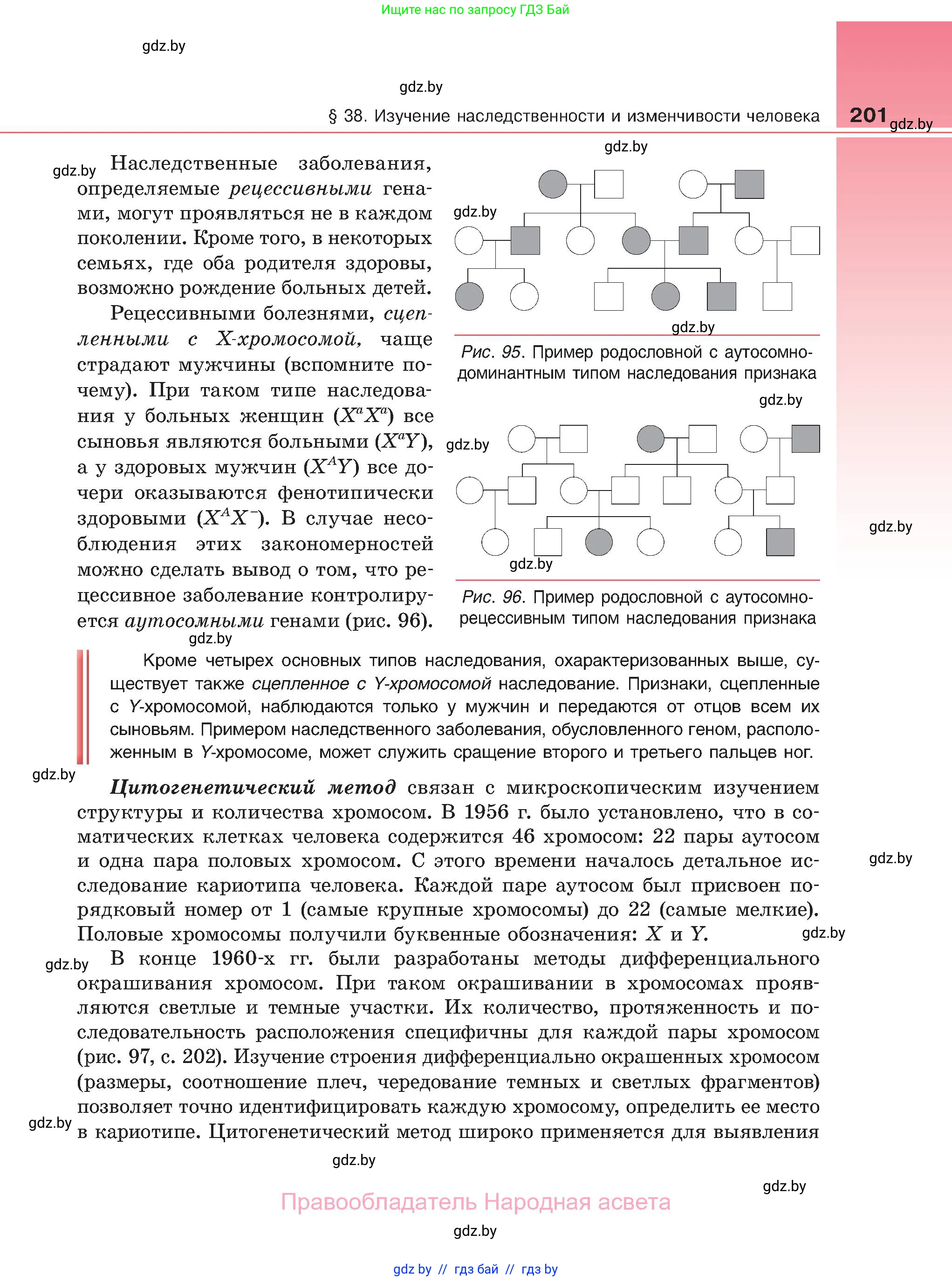 Биология, 11 класс Учебник, авторы: Дашков Максим Леонидович, Песнякевич Александр Георгиевич, Головач Алексей Михайлович, издательство Народная асвета, Минск, 2021, голубого цвета, страница 201