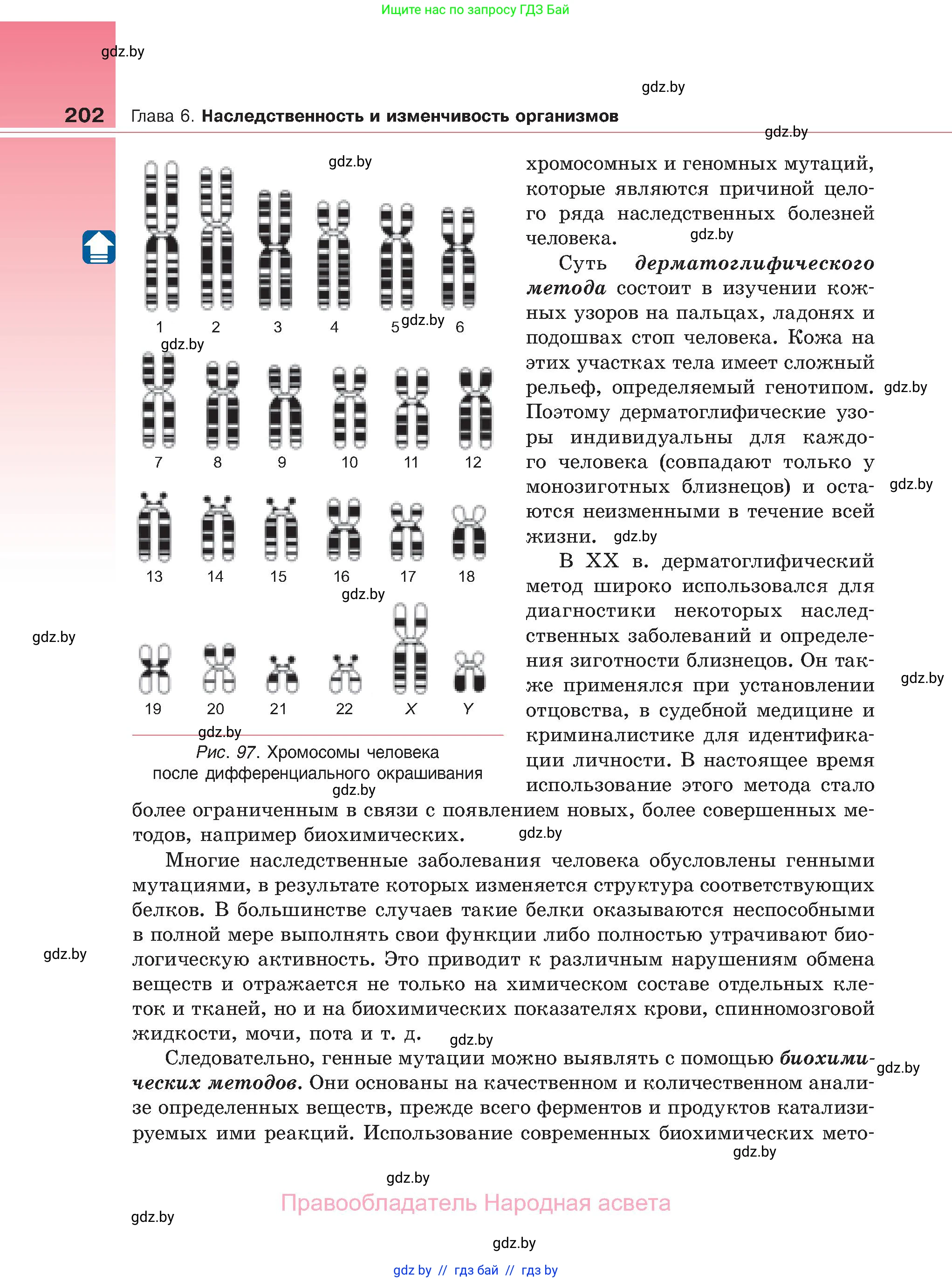 Биология, 11 класс Учебник, авторы: Дашков Максим Леонидович, Песнякевич Александр Георгиевич, Головач Алексей Михайлович, издательство Народная асвета, Минск, 2021, голубого цвета, страница 202