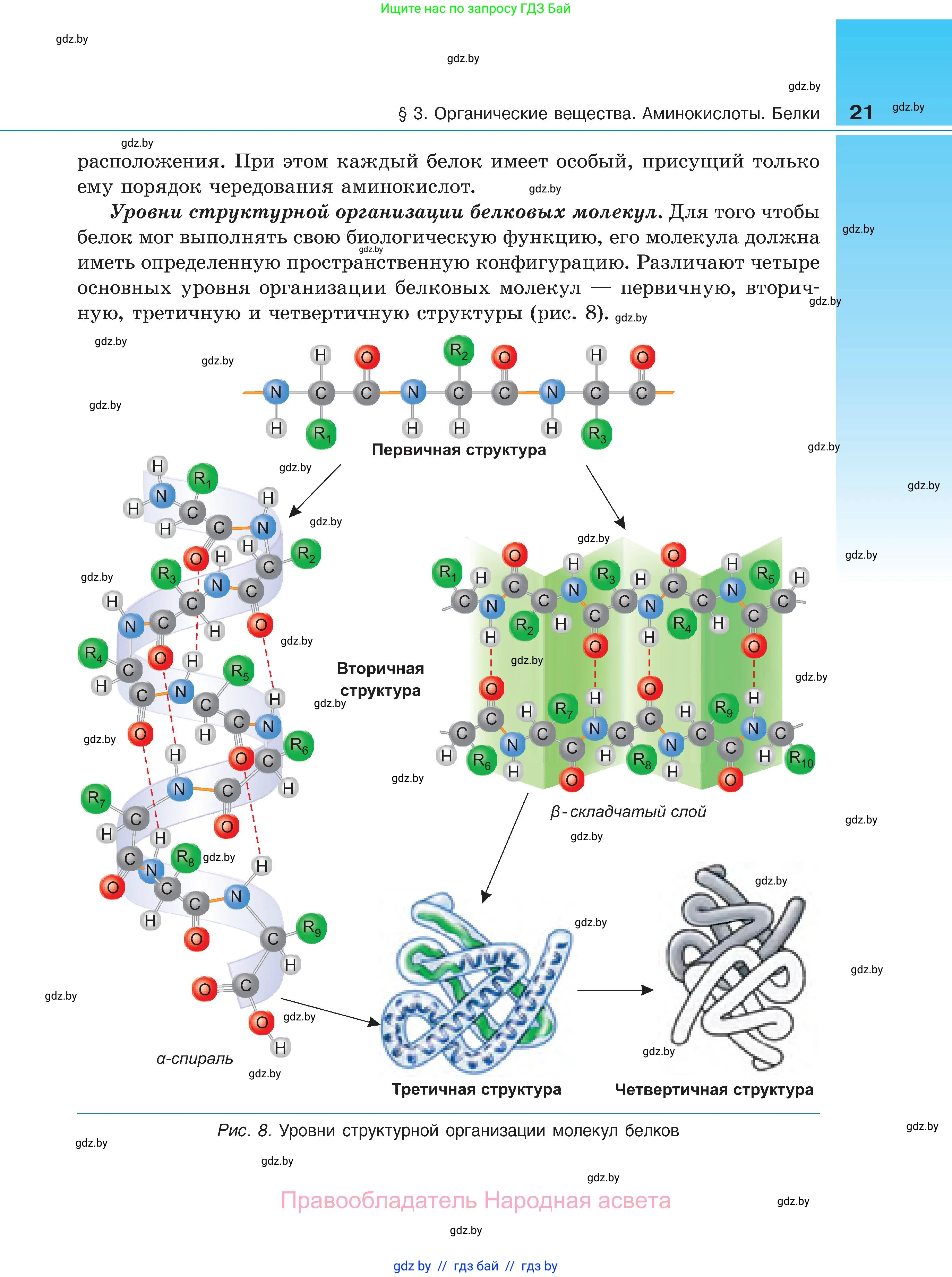 Биология, 11 класс Учебник, авторы: Дашков Максим Леонидович, Песнякевич Александр Георгиевич, Головач Алексей Михайлович, издательство Народная асвета, Минск, 2021, голубого цвета, страница 21