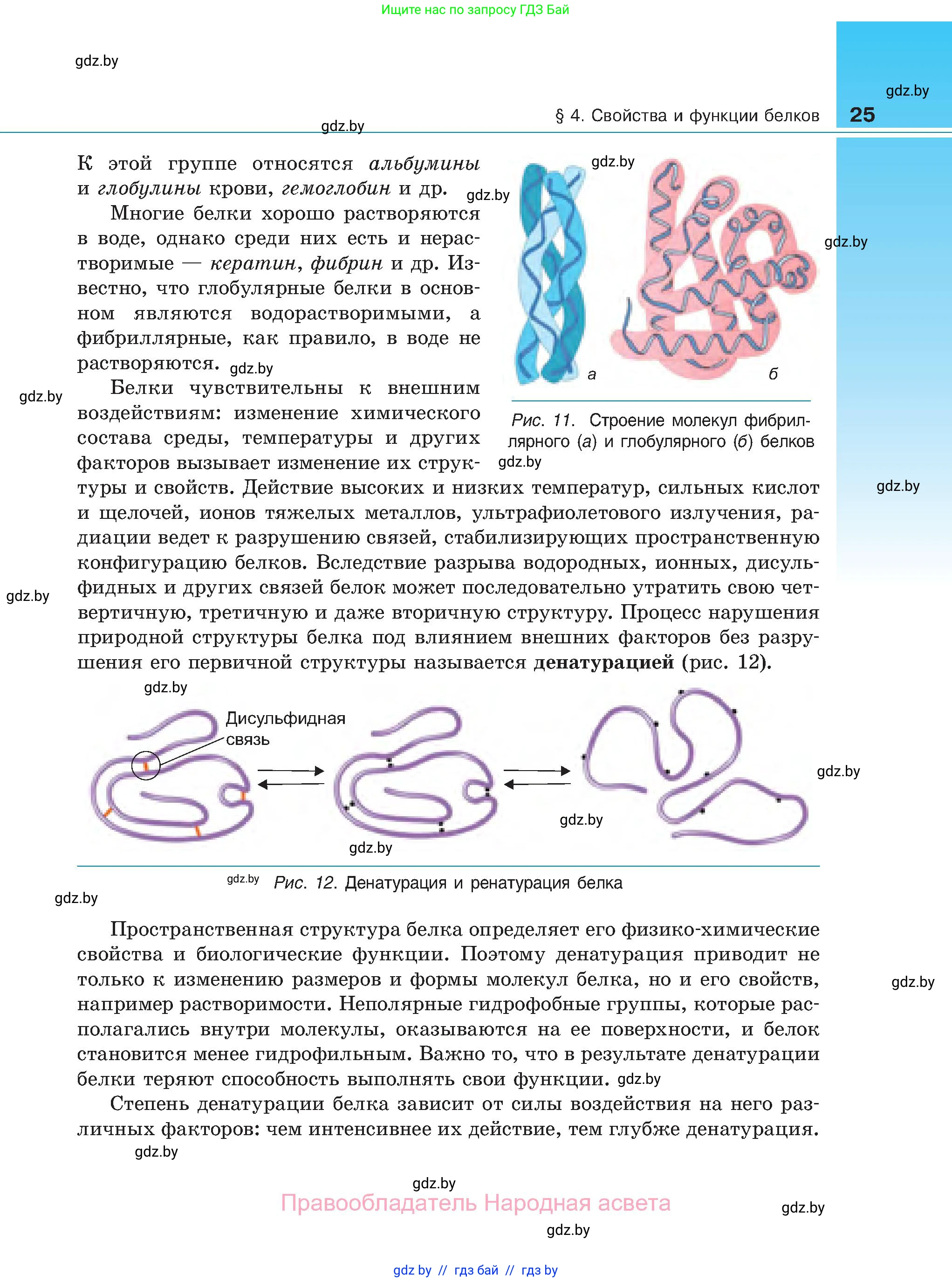 Биология, 11 класс Учебник, авторы: Дашков Максим Леонидович, Песнякевич Александр Георгиевич, Головач Алексей Михайлович, издательство Народная асвета, Минск, 2021, голубого цвета, страница 25