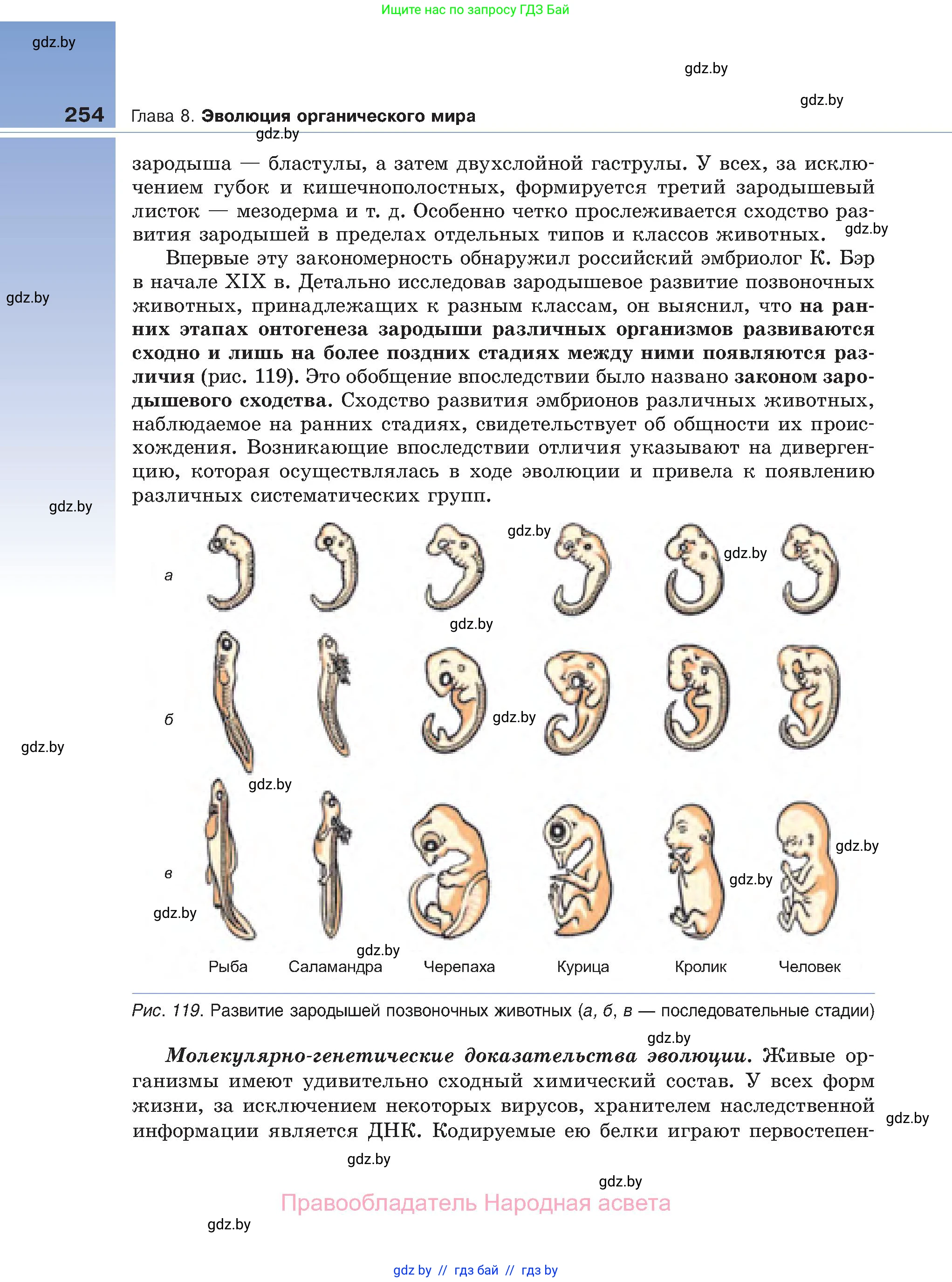 Биология, 11 класс Учебник, авторы: Дашков Максим Леонидович, Песнякевич Александр Георгиевич, Головач Алексей Михайлович, издательство Народная асвета, Минск, 2021, голубого цвета, страница 254