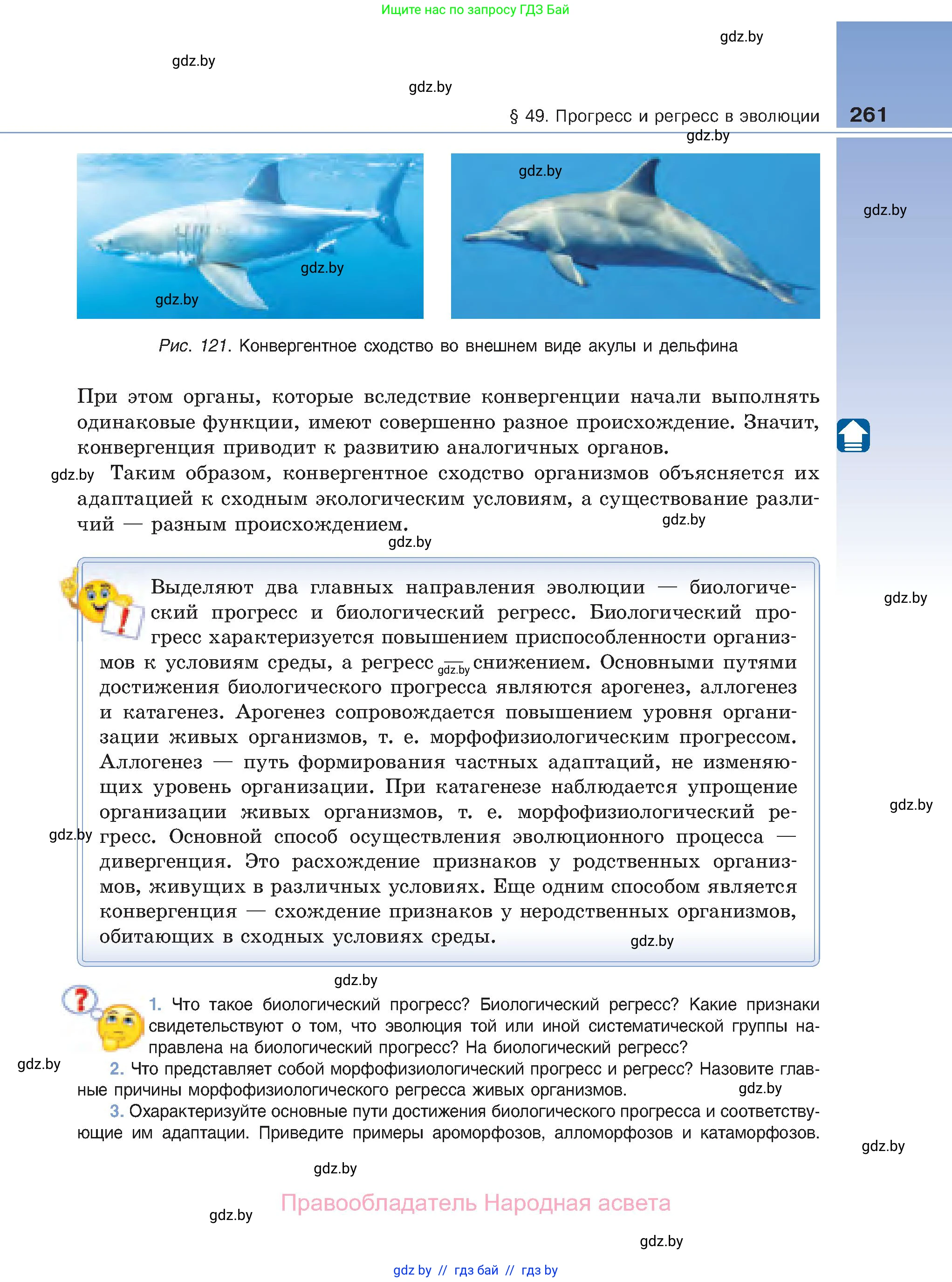 Биология, 11 класс Учебник, авторы: Дашков Максим Леонидович, Песнякевич Александр Георгиевич, Головач Алексей Михайлович, издательство Народная асвета, Минск, 2021, голубого цвета, страница 261