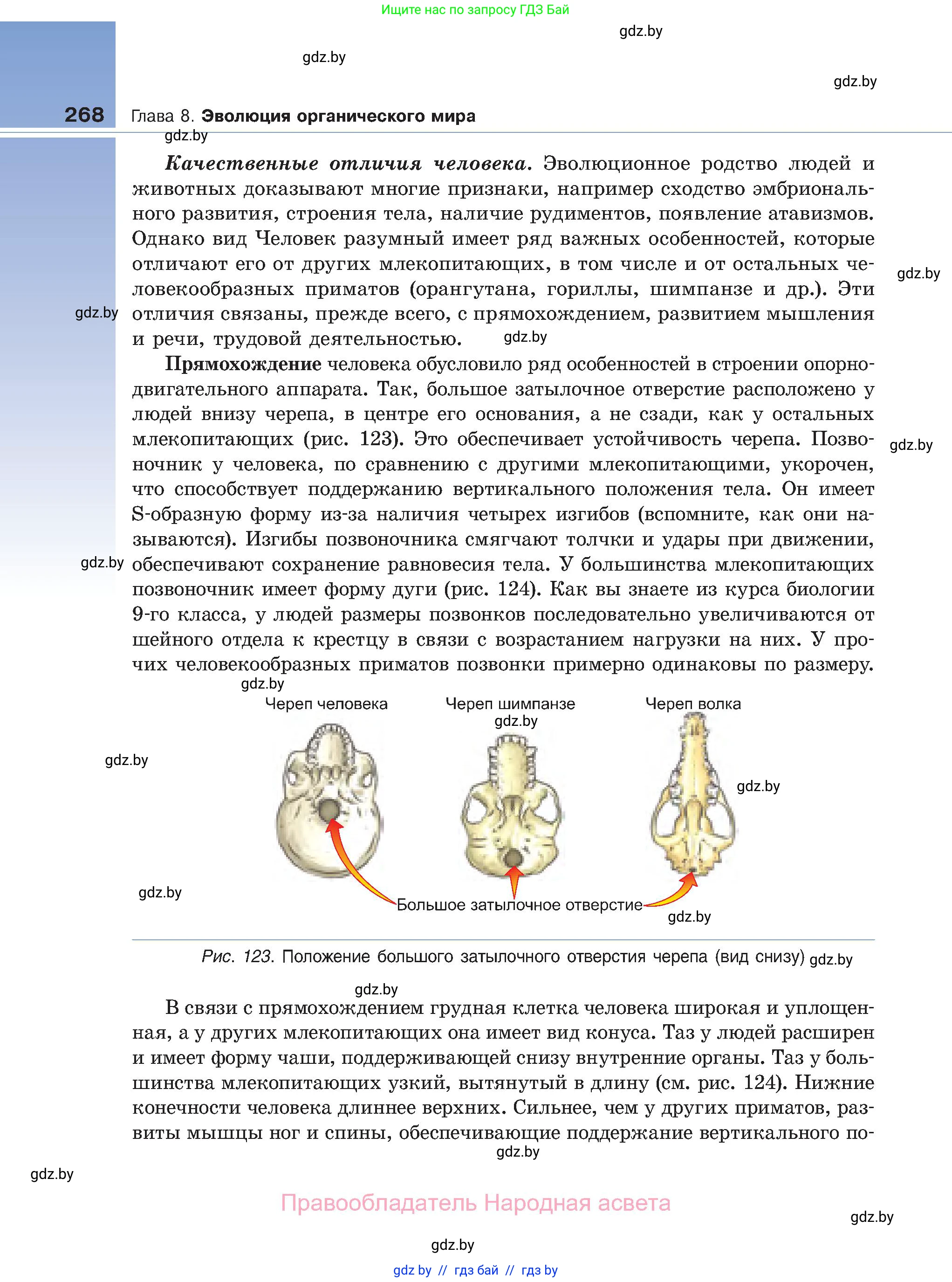 Биология, 11 класс Учебник, авторы: Дашков Максим Леонидович, Песнякевич Александр Георгиевич, Головач Алексей Михайлович, издательство Народная асвета, Минск, 2021, голубого цвета, страница 268