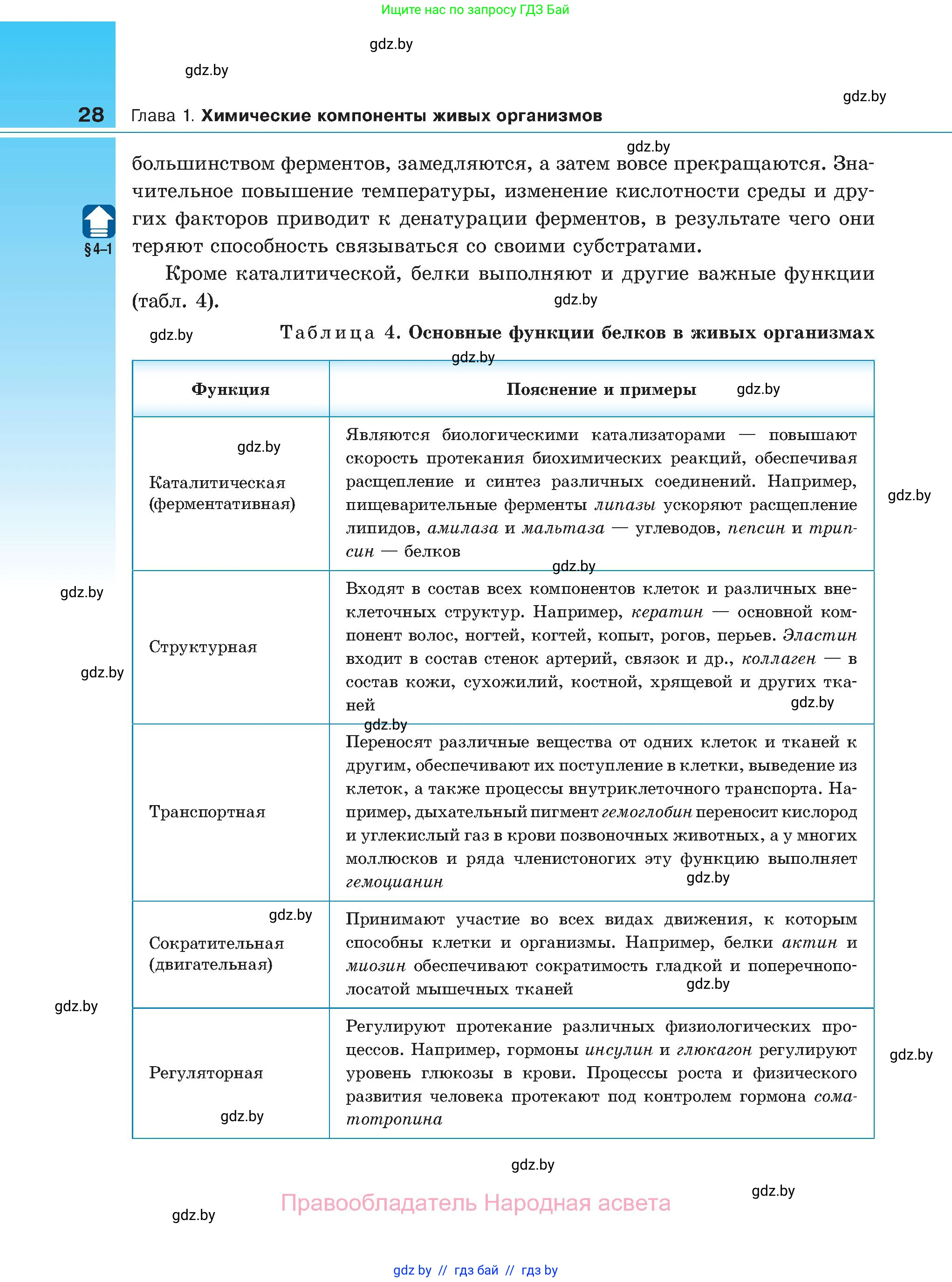 Биология, 11 класс Учебник, авторы: Дашков Максим Леонидович, Песнякевич Александр Георгиевич, Головач Алексей Михайлович, издательство Народная асвета, Минск, 2021, голубого цвета, страница 28