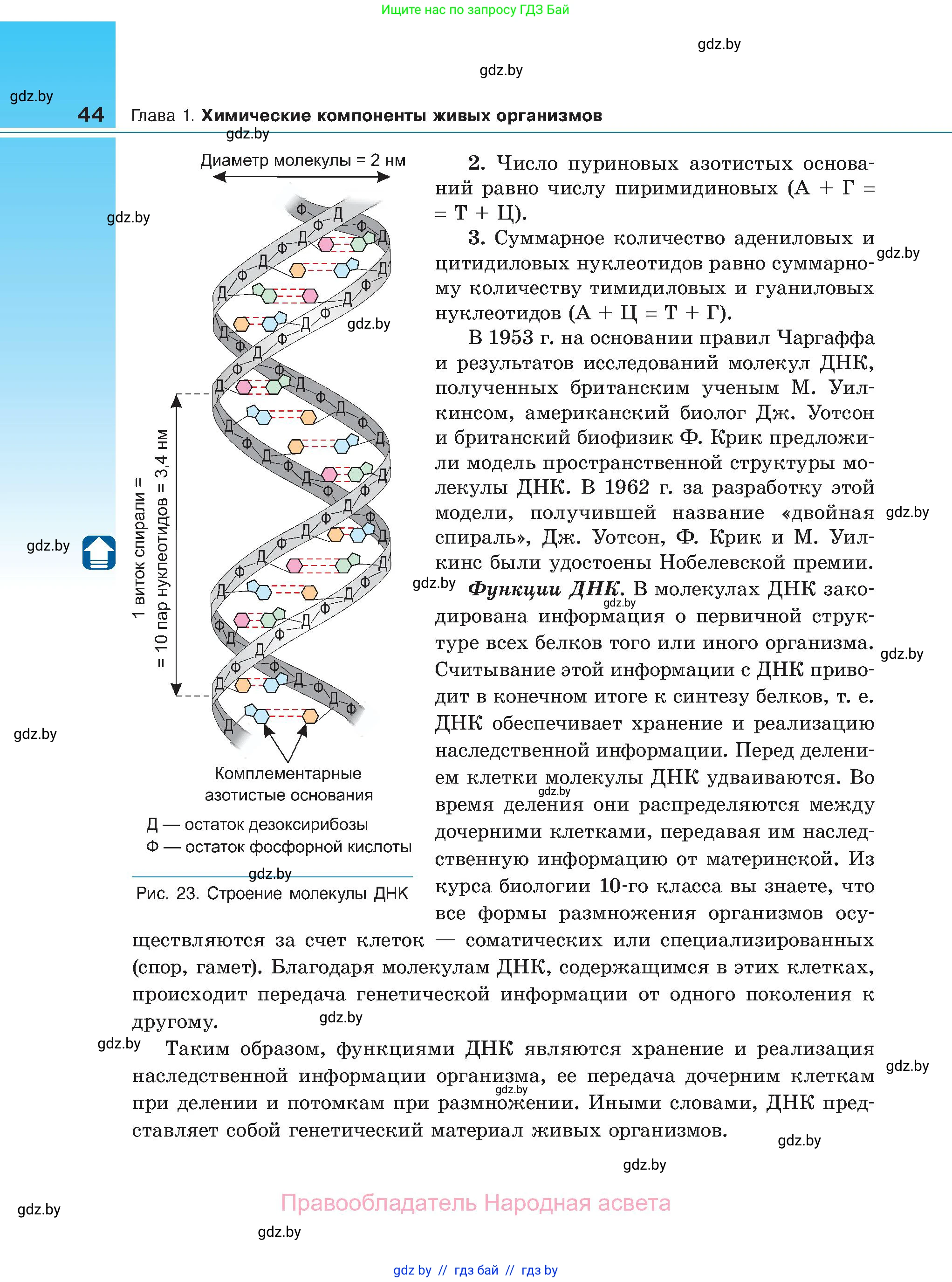 Биология, 11 класс Учебник, авторы: Дашков Максим Леонидович, Песнякевич Александр Георгиевич, Головач Алексей Михайлович, издательство Народная асвета, Минск, 2021, голубого цвета, страница 44