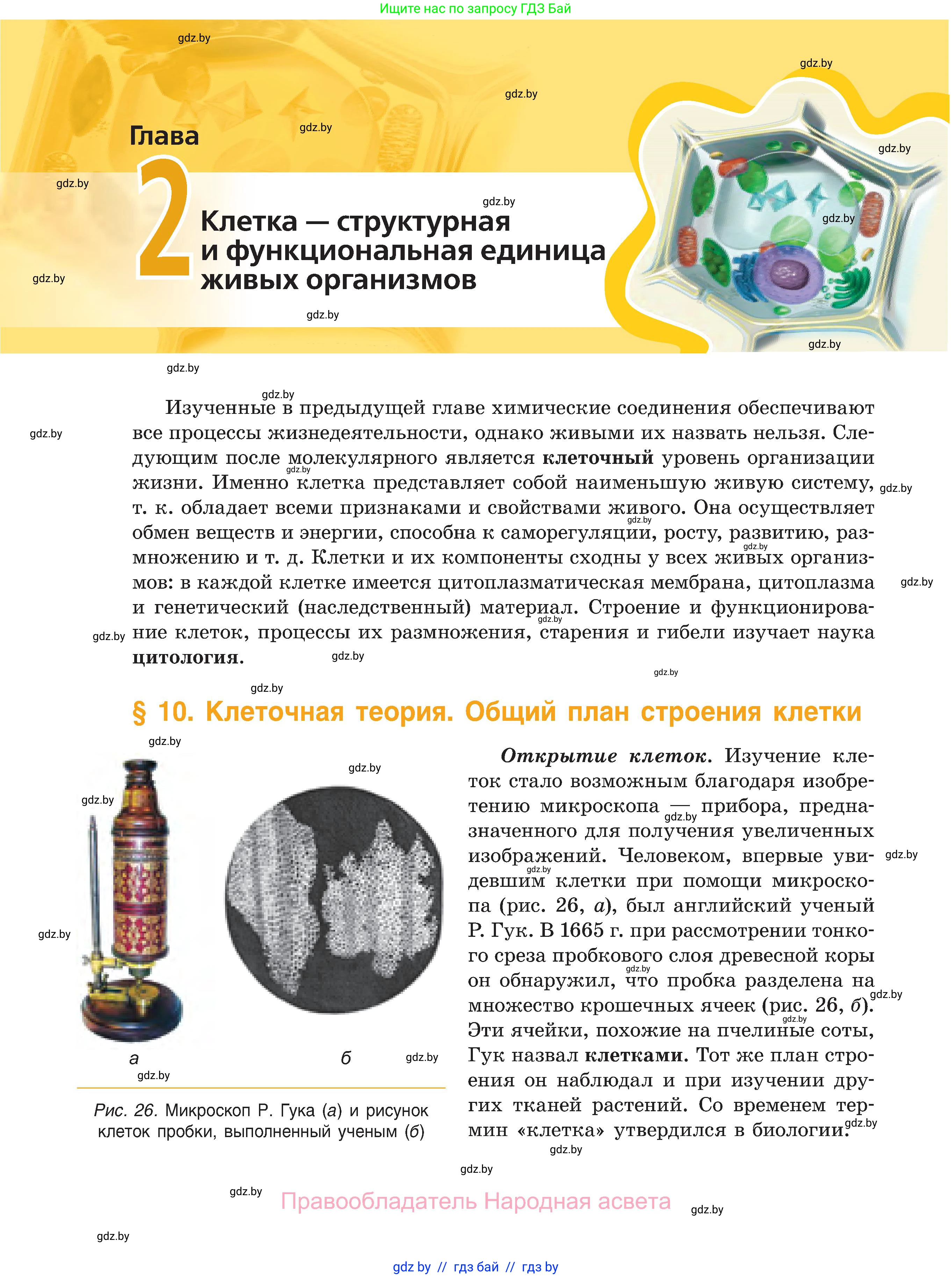 Биология, 11 класс Учебник, авторы: Дашков Максим Леонидович, Песнякевич Александр Георгиевич, Головач Алексей Михайлович, издательство Народная асвета, Минск, 2021, голубого цвета, страница 54