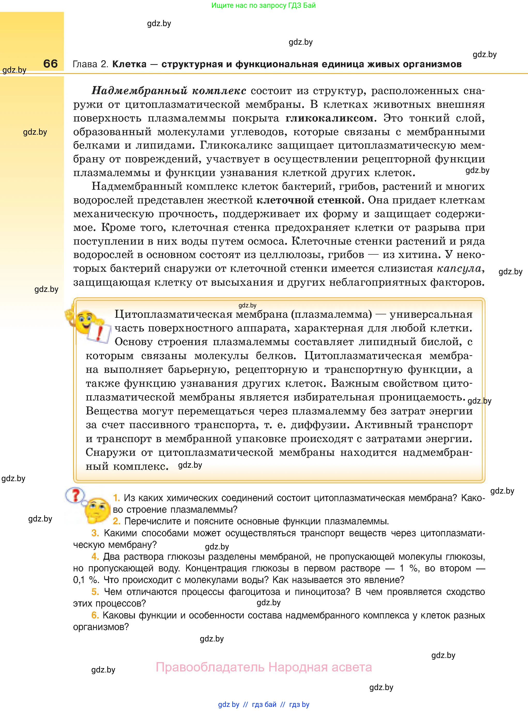 Биология, 11 класс Учебник, авторы: Дашков Максим Леонидович, Песнякевич Александр Георгиевич, Головач Алексей Михайлович, издательство Народная асвета, Минск, 2021, голубого цвета, страница 66