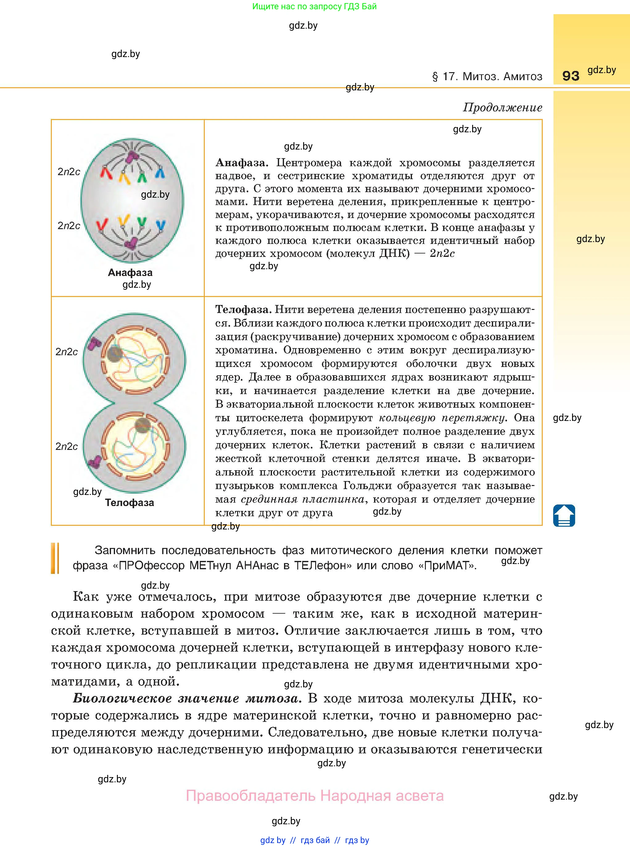 Биология, 11 класс Учебник, авторы: Дашков Максим Леонидович, Песнякевич Александр Георгиевич, Головач Алексей Михайлович, издательство Народная асвета, Минск, 2021, голубого цвета, страница 93