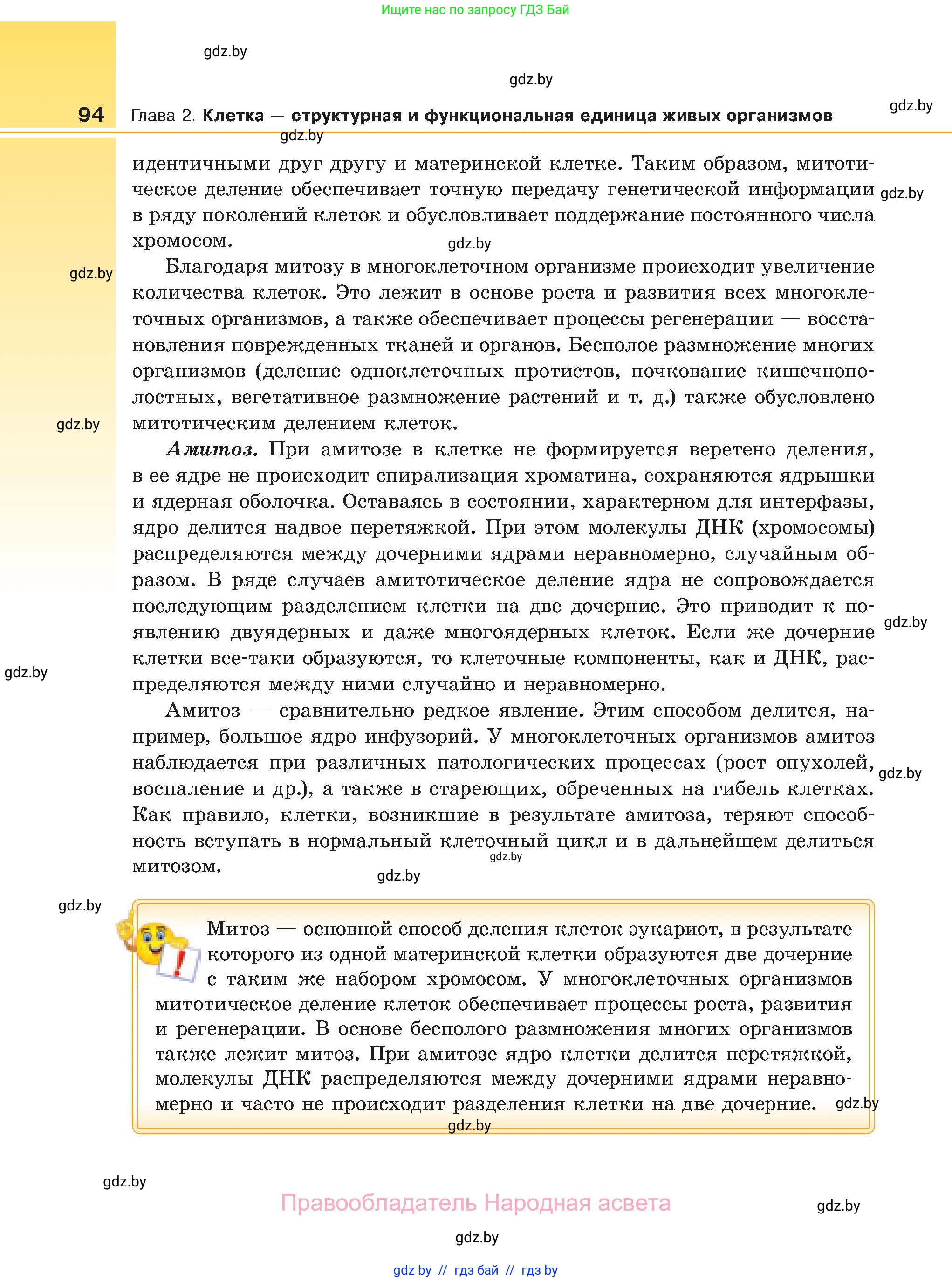 Биология, 11 класс Учебник, авторы: Дашков Максим Леонидович, Песнякевич Александр Георгиевич, Головач Алексей Михайлович, издательство Народная асвета, Минск, 2021, голубого цвета, страница 94