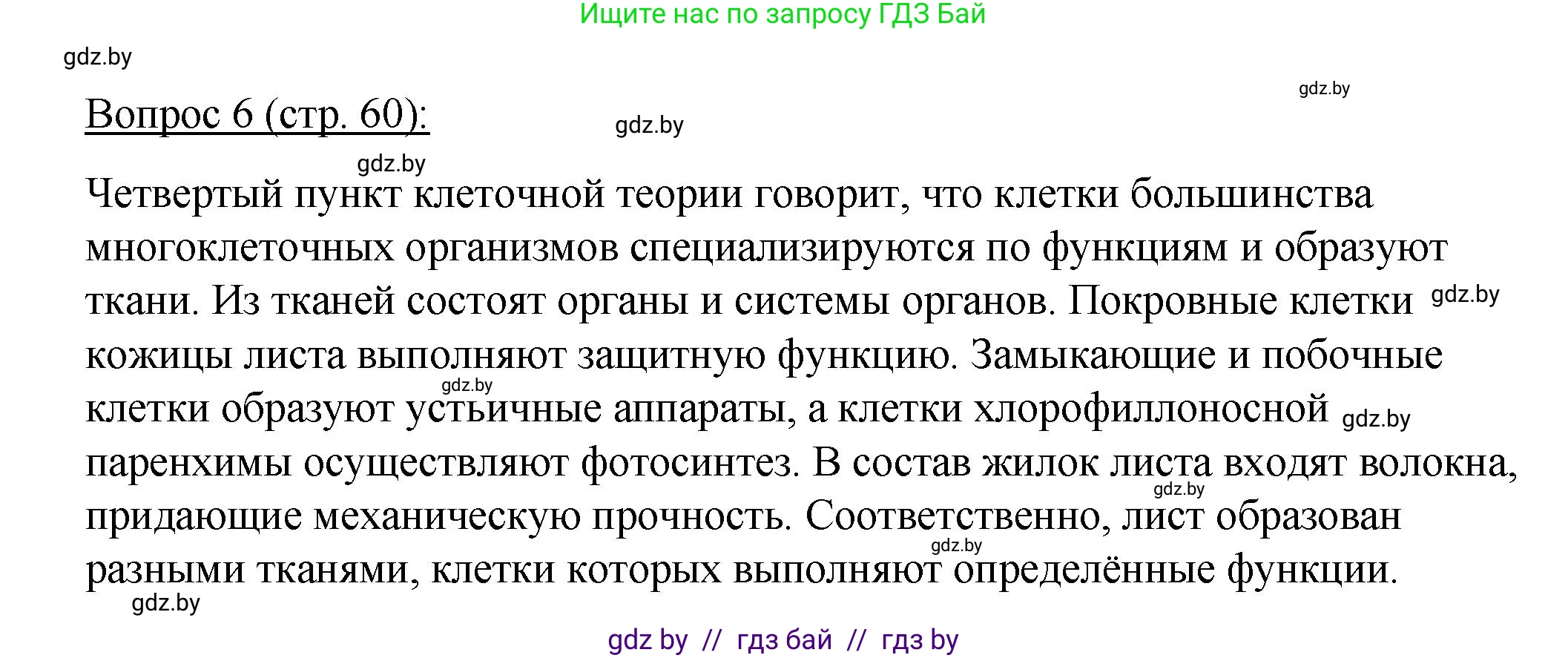 Биология, 11 класс Учебник, авторы: Дашков Максим Леонидович, Песнякевич Александр Георгиевич, Головач Алексей Михайлович, издательство Народная асвета, Минск, 2021, голубого цвета, страница 60, номер 6, Решение