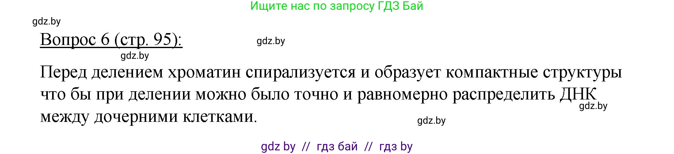 Биология, 11 класс Учебник, авторы: Дашков Максим Леонидович, Песнякевич Александр Георгиевич, Головач Алексей Михайлович, издательство Народная асвета, Минск, 2021, голубого цвета, страница 95, номер 6, Решение
