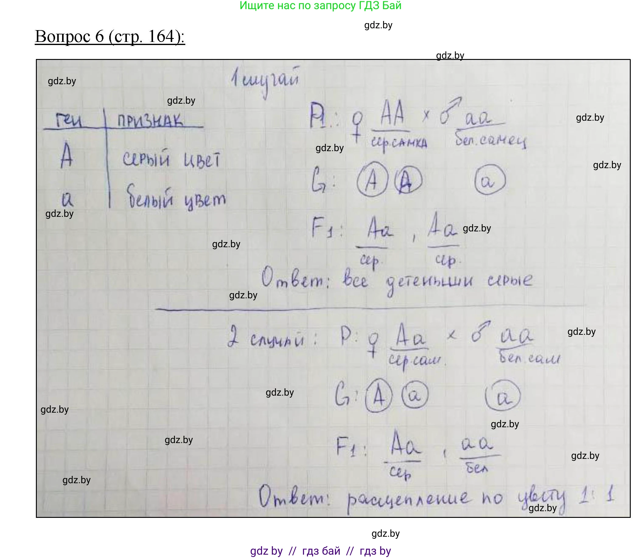 Биология, 11 класс Учебник, авторы: Дашков Максим Леонидович, Песнякевич Александр Георгиевич, Головач Алексей Михайлович, издательство Народная асвета, Минск, 2021, голубого цвета, страница 164, номер 6, Решение