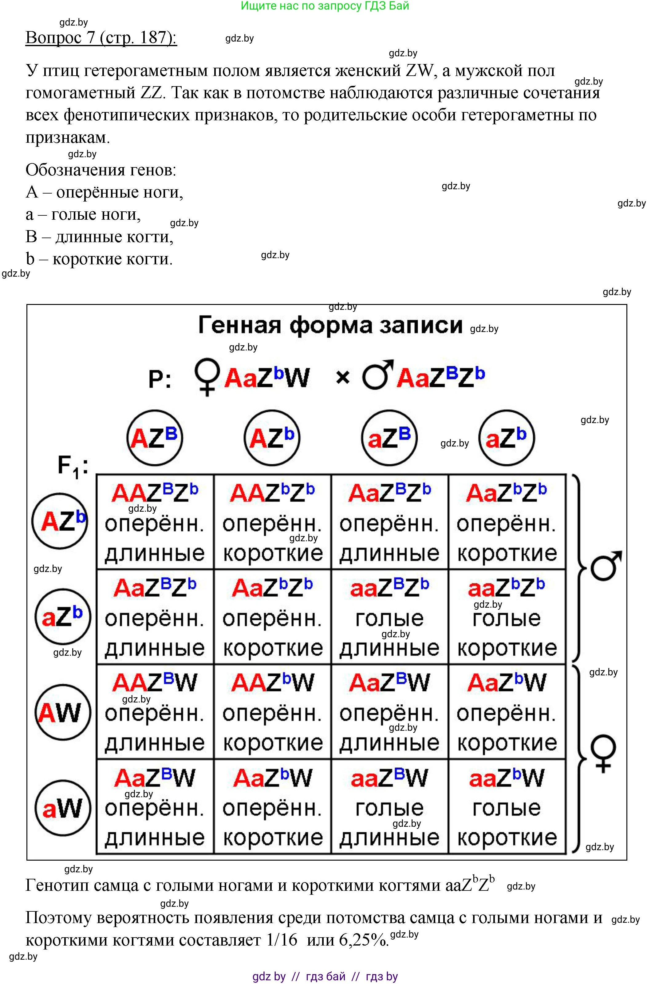 Биология, 11 класс Учебник, авторы: Дашков Максим Леонидович, Песнякевич Александр Георгиевич, Головач Алексей Михайлович, издательство Народная асвета, Минск, 2021, голубого цвета, страница 187, номер 7, Решение