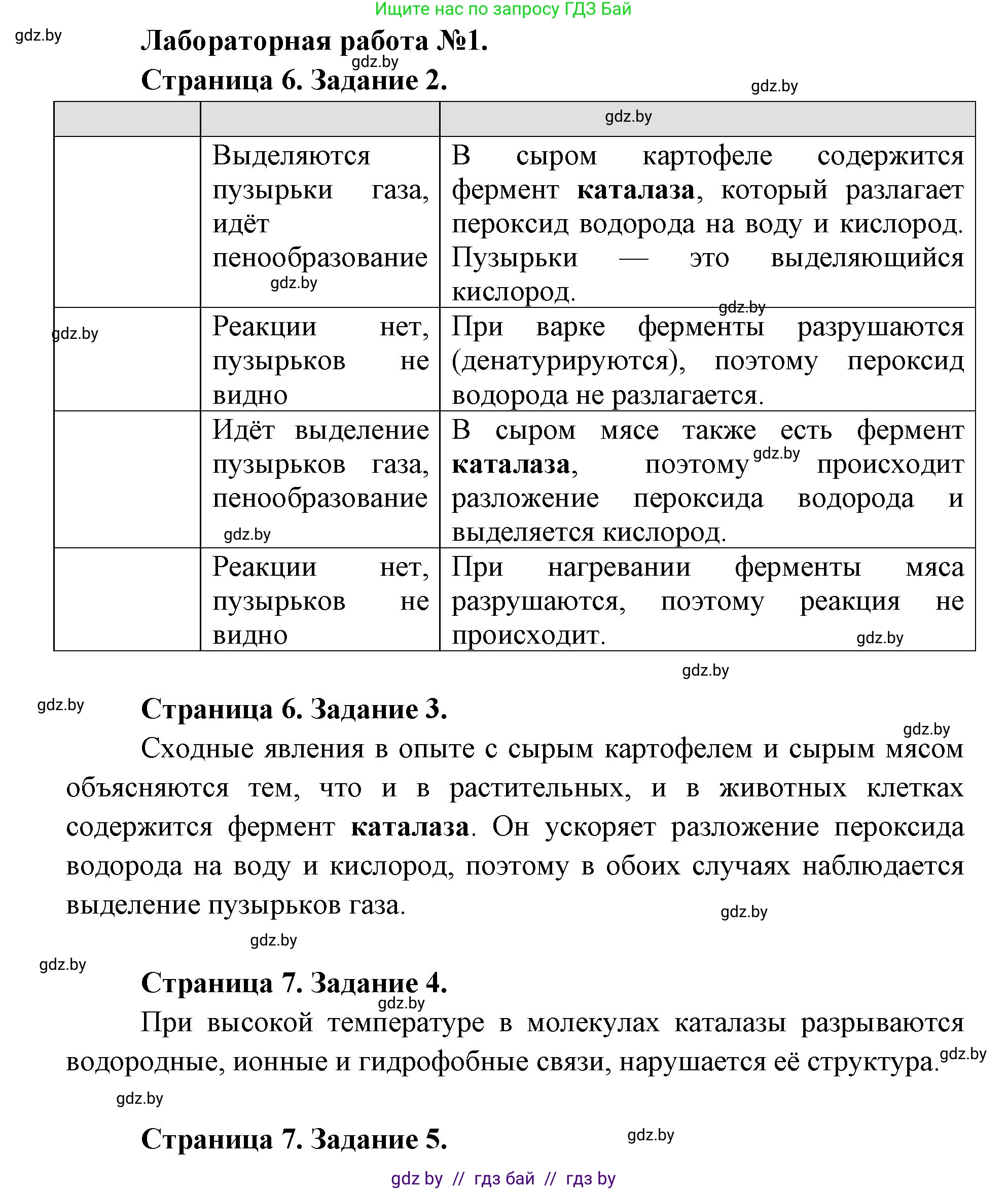 Биология, 11 класс Тетрадь для лабораторных и практических работ, автор: Хруцкая Тамара Викторовна, издательство Аверсэв, Минск, 2025, жёлтого цвета, страница 5, Решение