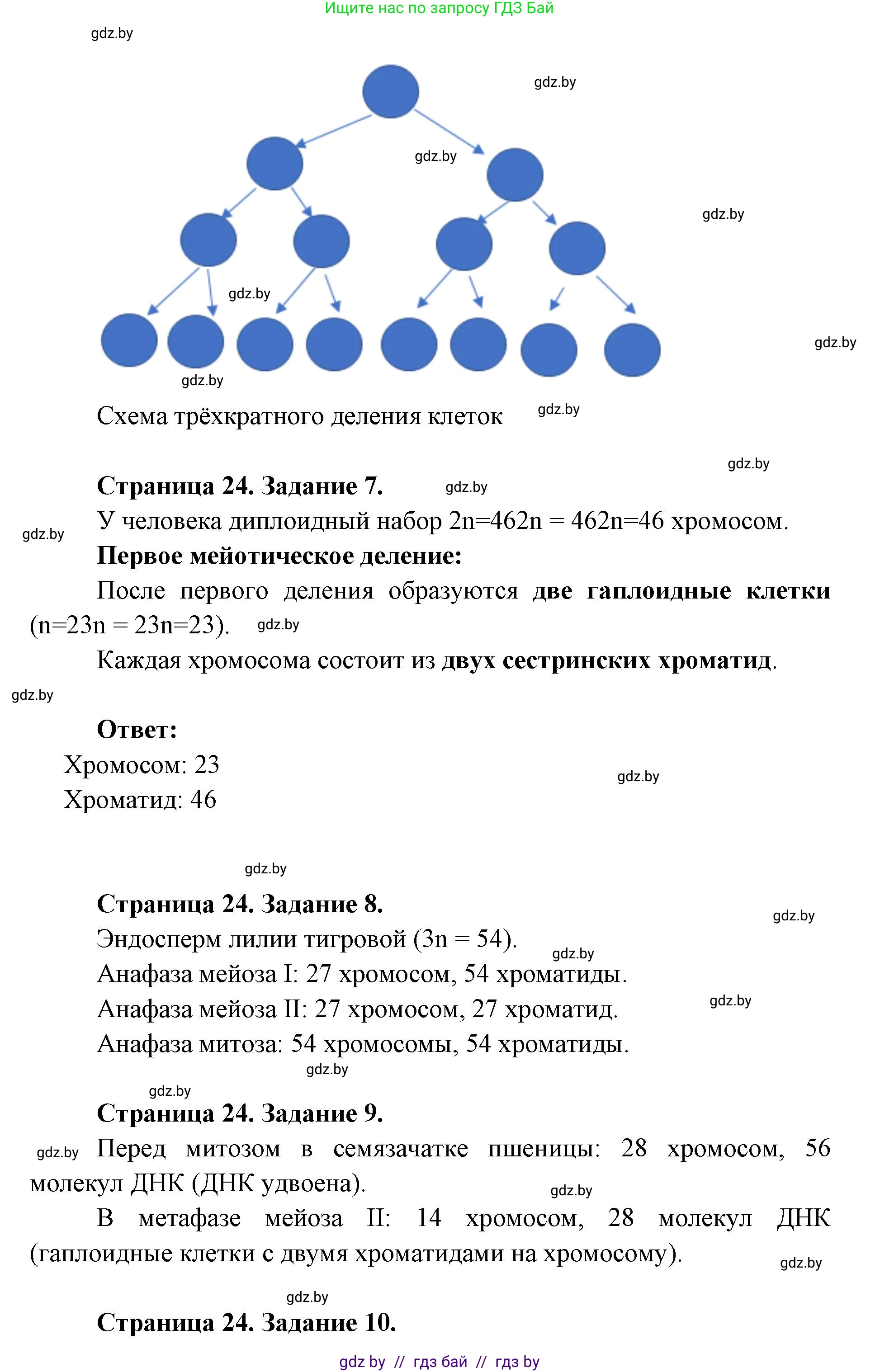 Биология, 11 класс Тетрадь для лабораторных и практических работ, автор: Хруцкая Тамара Викторовна, издательство Аверсэв, Минск, 2025, жёлтого цвета, страница 22, Решение (продолжение 2)