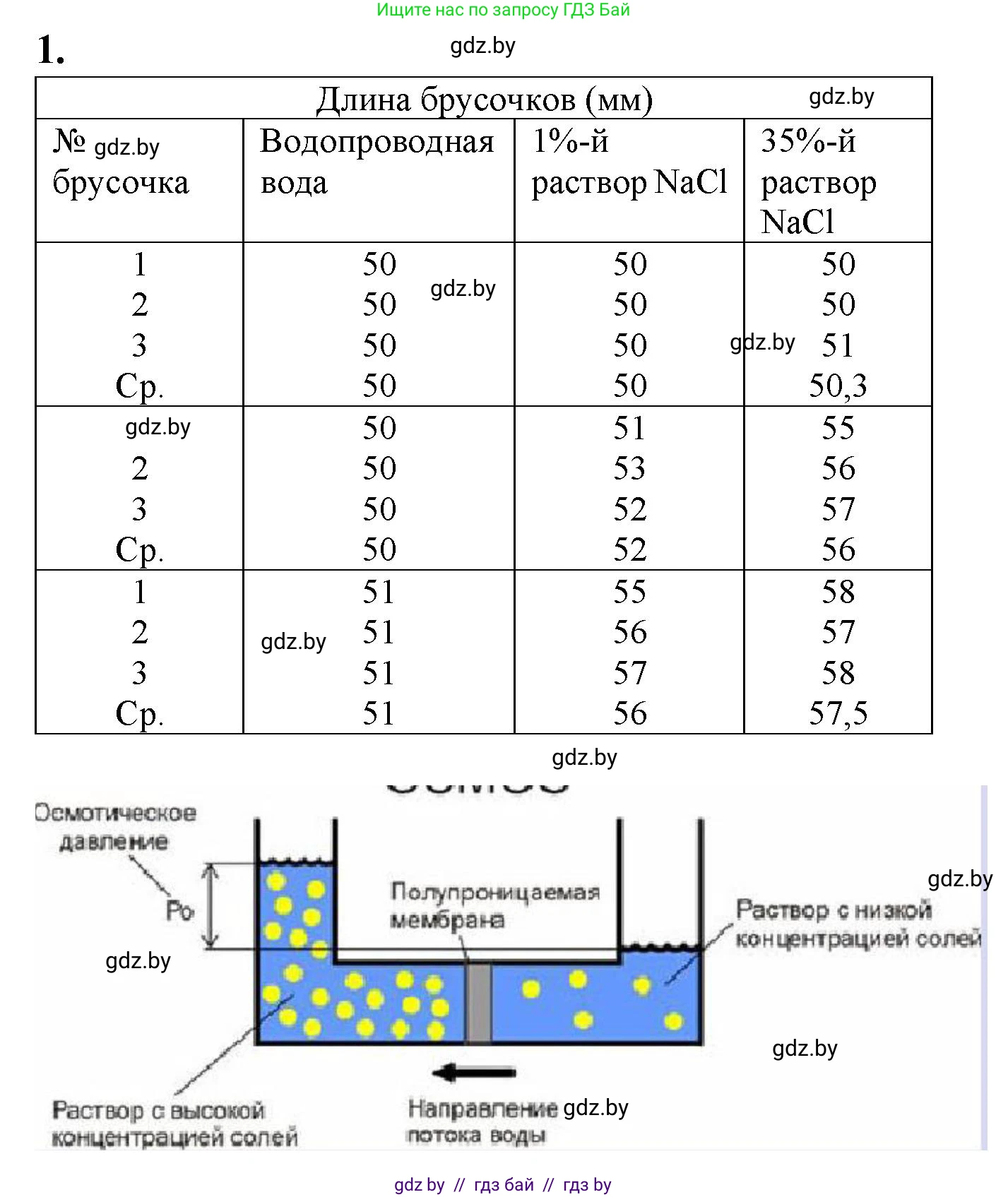 Биология, 11 класс Тетрадь для лабораторных и практических работ, автор: Хруцкая Тамара Викторовна, издательство Аверсэв, Минск, 2021, жёлтого цвета, страница 16, номер 1, Решение