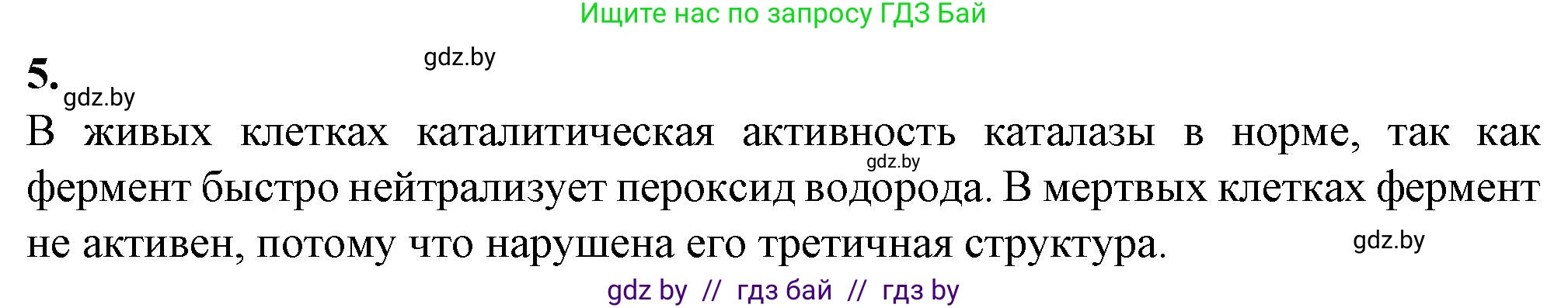 Биология, 11 класс Тетрадь для лабораторных и практических работ, автор: Хруцкая Тамара Викторовна, издательство Аверсэв, Минск, 2021, жёлтого цвета, страница 9, номер 5, Решение