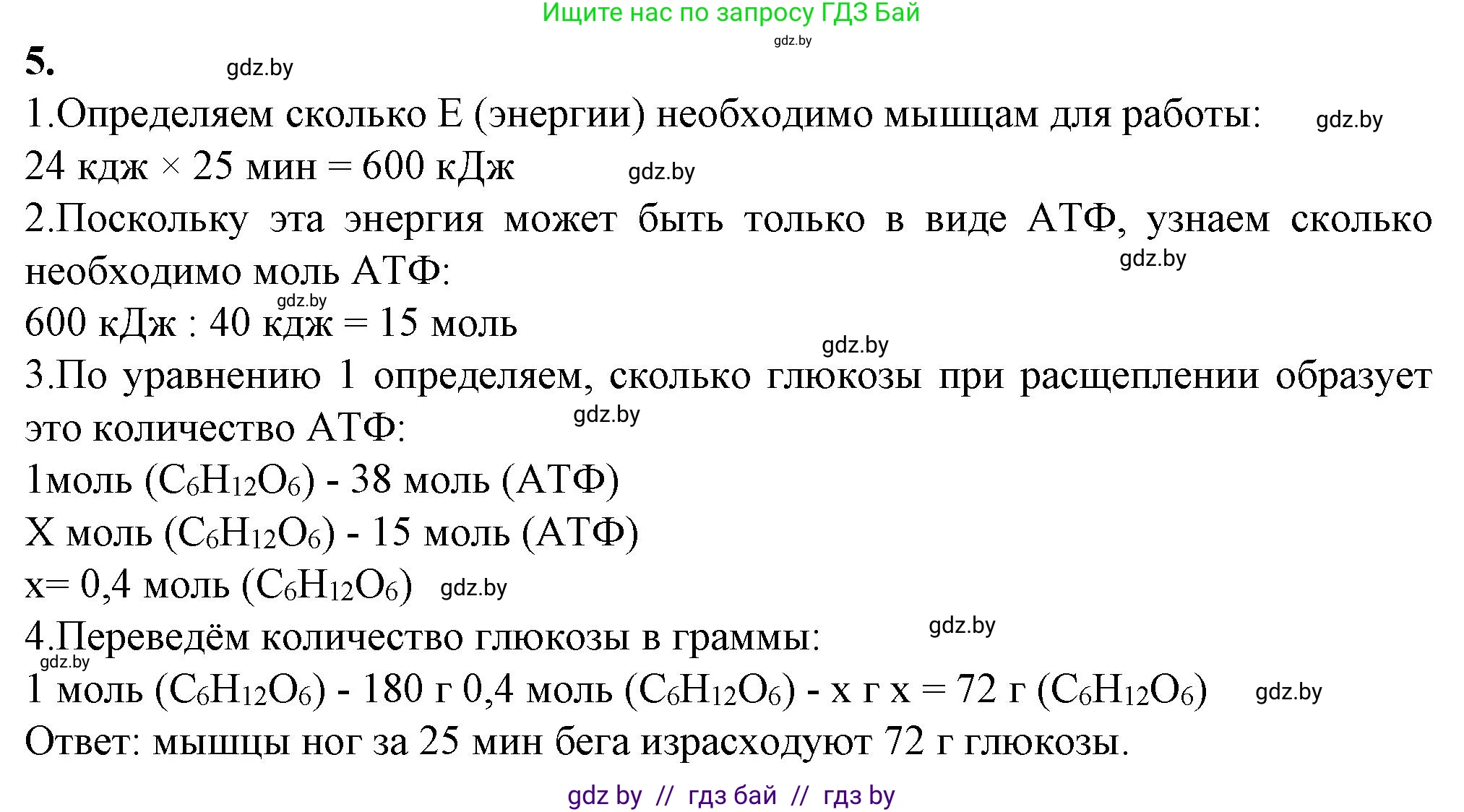 Биология, 11 класс Тетрадь для лабораторных и практических работ, автор: Хруцкая Тамара Викторовна, издательство Аверсэв, Минск, 2021, жёлтого цвета, страница 41, номер 5, Решение