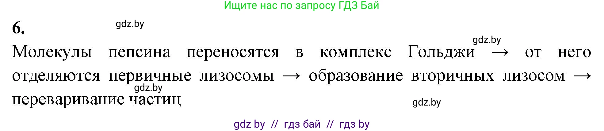 Биология, 11 класс рабочая тетрадь, автор: Хруцкая Тамара Викторовна, издательство Аверсэв, Минск, 2021, зелёного цвета, страница 26, номер 6, Решение