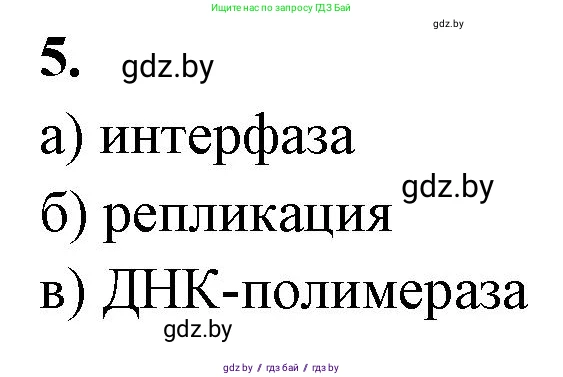 Биология, 11 класс рабочая тетрадь, автор: Хруцкая Тамара Викторовна, издательство Аверсэв, Минск, 2021, зелёного цвета, страница 32, номер 5, Решение