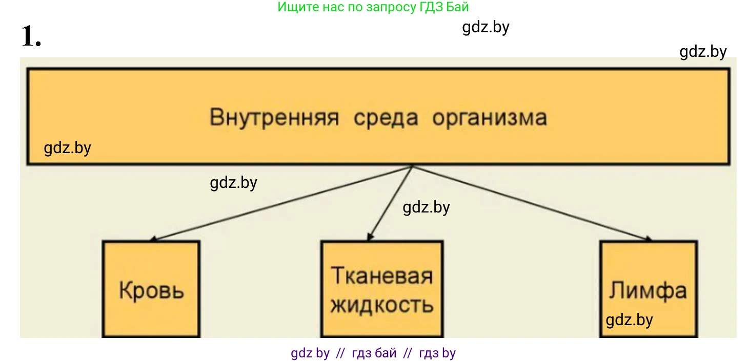 Биология, 11 класс рабочая тетрадь, автор: Хруцкая Тамара Викторовна, издательство Аверсэв, Минск, 2021, зелёного цвета, страница 52, номер 1, Решение