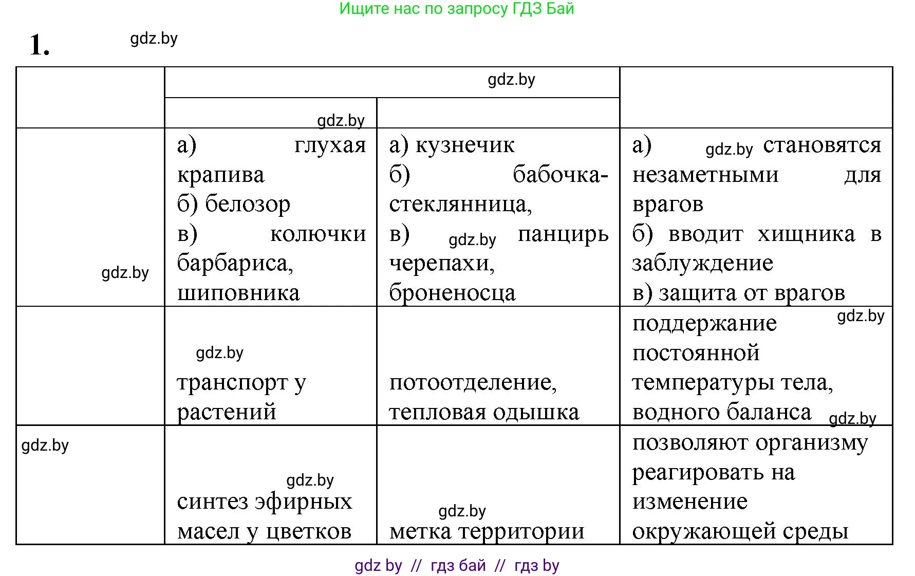 Биология, 11 класс рабочая тетрадь, автор: Хруцкая Тамара Викторовна, издательство Аверсэв, Минск, 2021, зелёного цвета, страница 89, номер 1, Решение