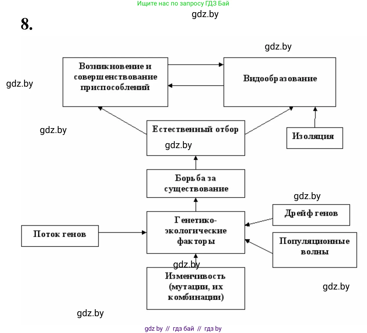 Биология, 11 класс рабочая тетрадь, автор: Хруцкая Тамара Викторовна, издательство Аверсэв, Минск, 2021, зелёного цвета, страница 91, номер 8, Решение