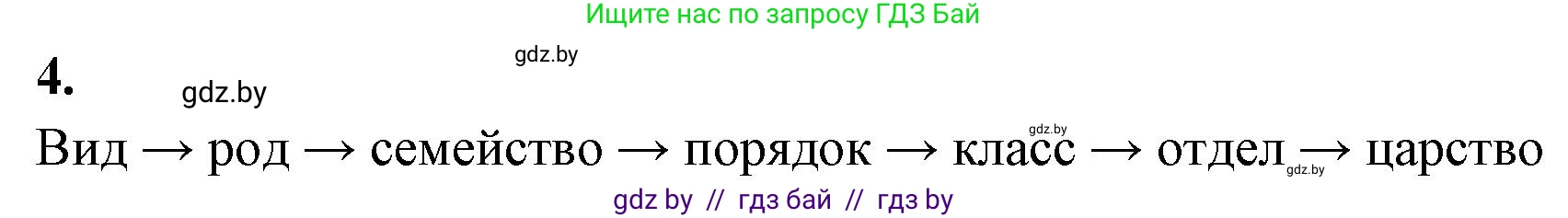 Биология, 11 класс рабочая тетрадь, автор: Хруцкая Тамара Викторовна, издательство Аверсэв, Минск, 2021, зелёного цвета, страница 99, номер 4, Решение