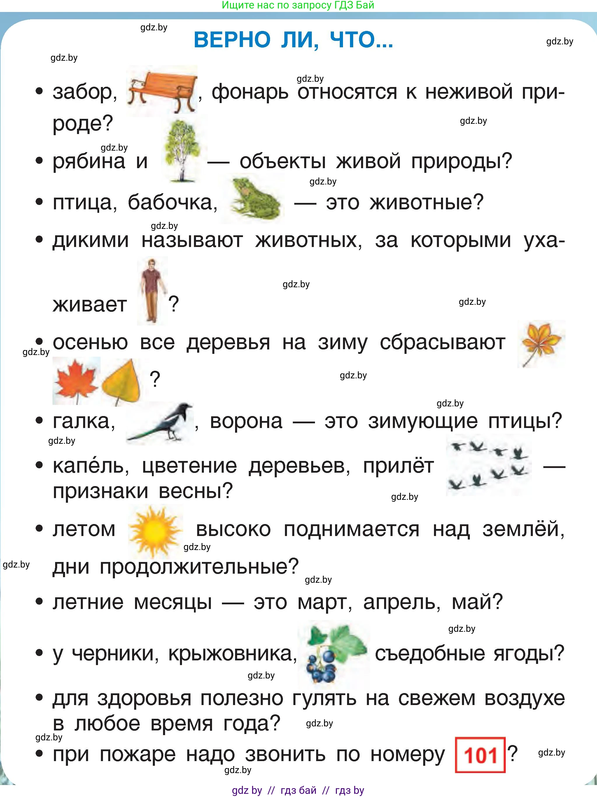Человек и мир, 1 класс Учебник, авторы: Трафимова Галина Владимировна, Трафимов Сергей Анатольевич, издательство Национальный институт образования, Минск, 2023, салатового цвета, страница 80, Условие
