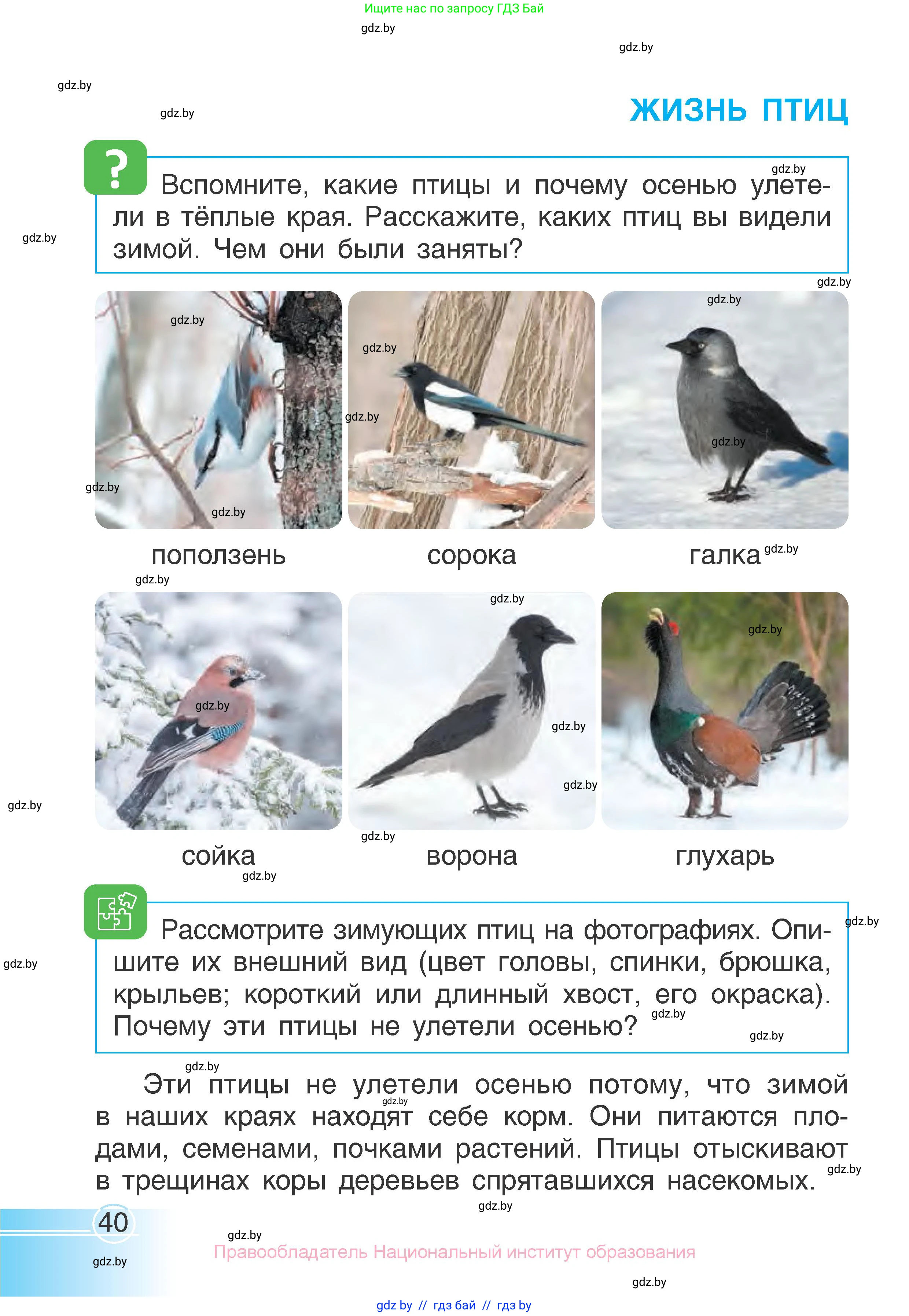 Человек и мир, 1 класс Учебник, авторы: Трафимова Галина Владимировна, Трафимов Сергей Анатольевич, издательство Национальный институт образования, Минск, 2023, салатового цвета, страница 40