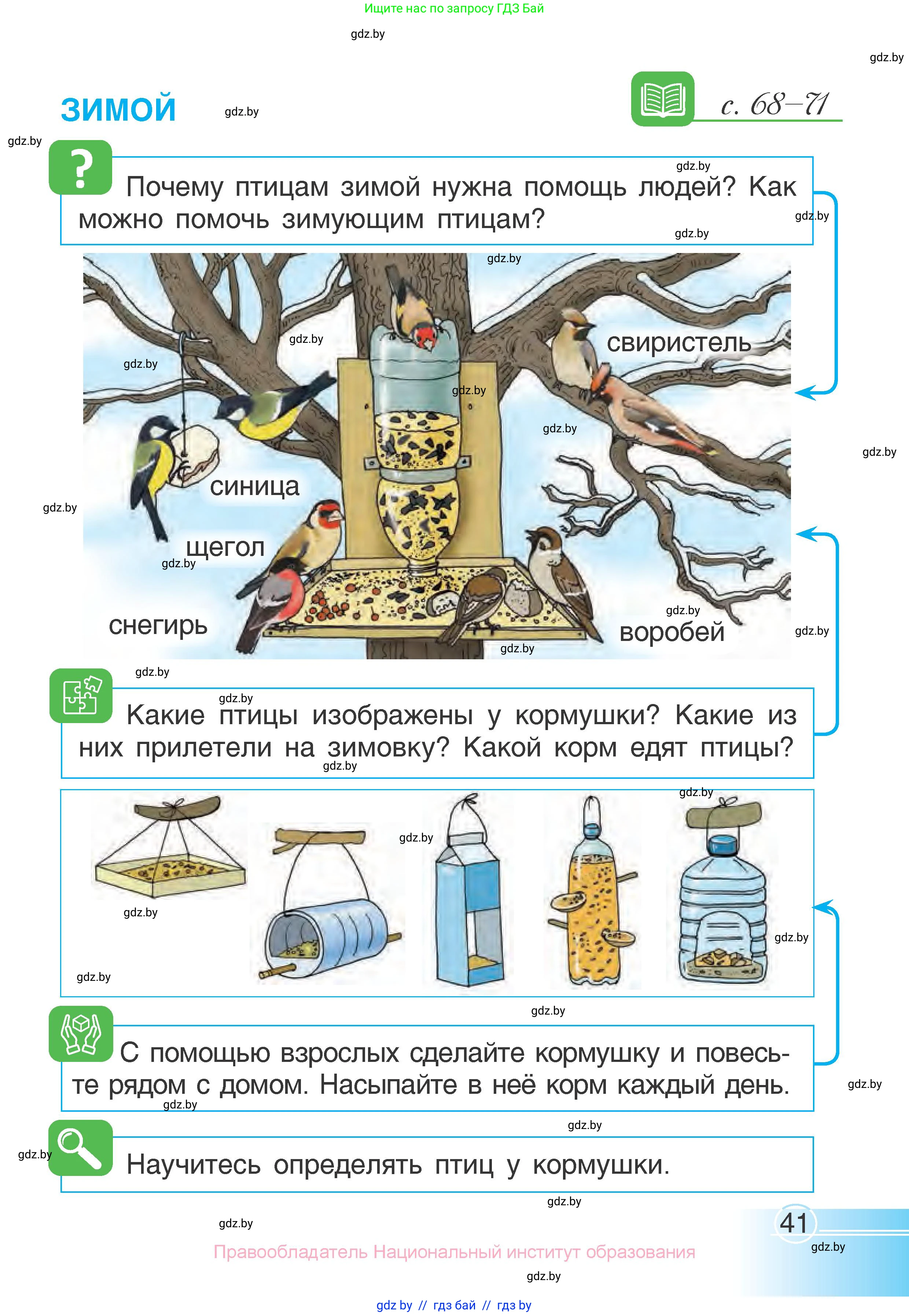 Человек и мир, 1 класс Учебник, авторы: Трафимова Галина Владимировна, Трафимов Сергей Анатольевич, издательство Национальный институт образования, Минск, 2023, салатового цвета, страница 41
