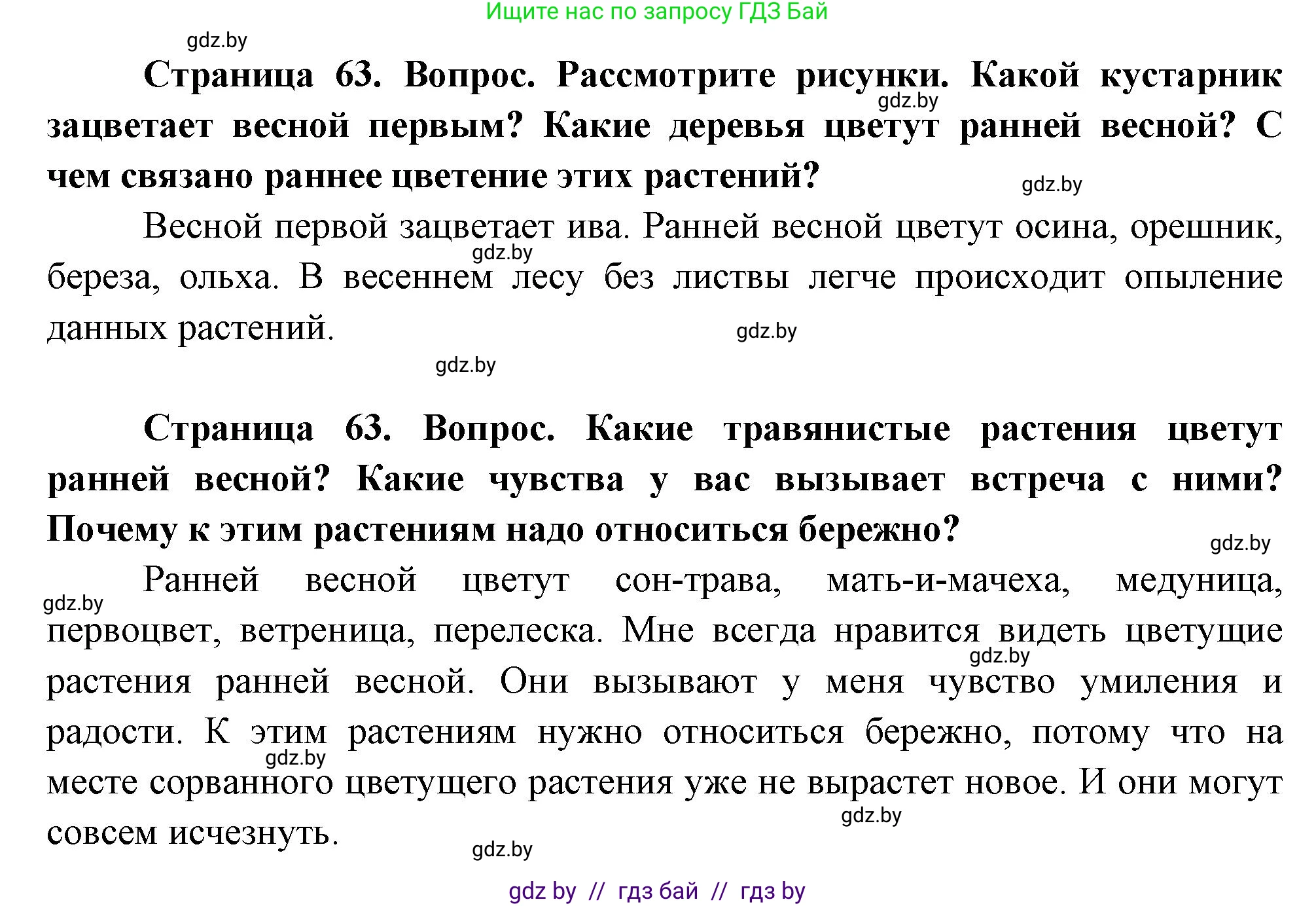 Человек и мир, 1 класс Учебник, авторы: Трафимова Галина Владимировна, Трафимов Сергей Анатольевич, издательство Национальный институт образования, Минск, 2023, салатового цвета, страница 63, Решение
