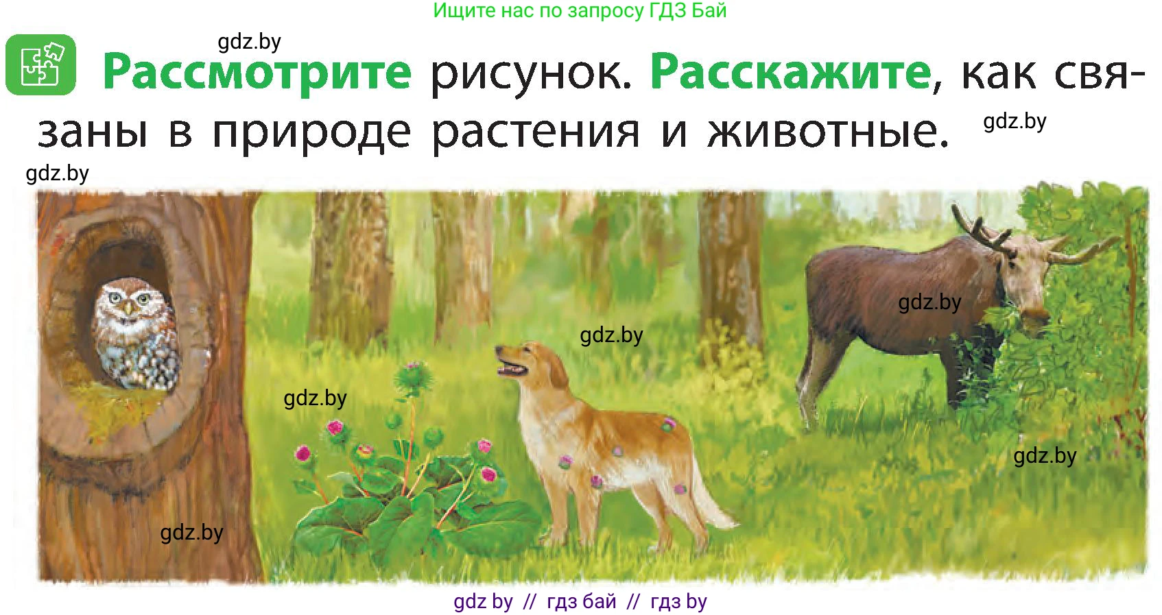 Человек и мир, 2 класс Учебник, авторы: Трафимова Галина Владимировна, Трафимов Сергей Анатольевич, издательство Академия образования, Минск, 2024, страница 7, номер 3, Условие